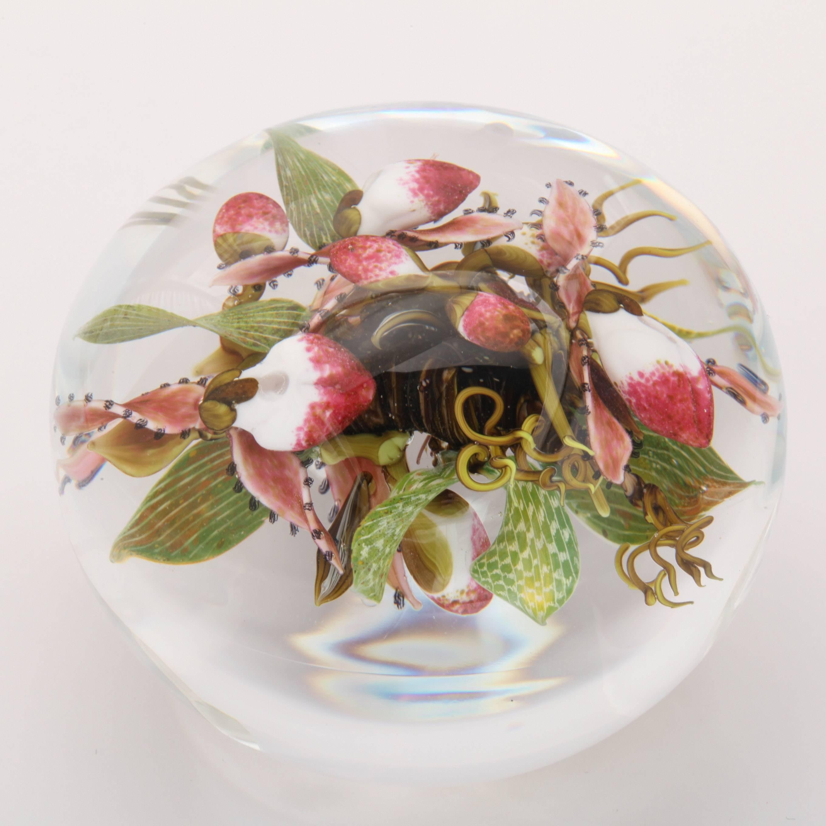 Contemporary Beautiful David Graeber Compound Lady Slipper Paperweight For Sale
