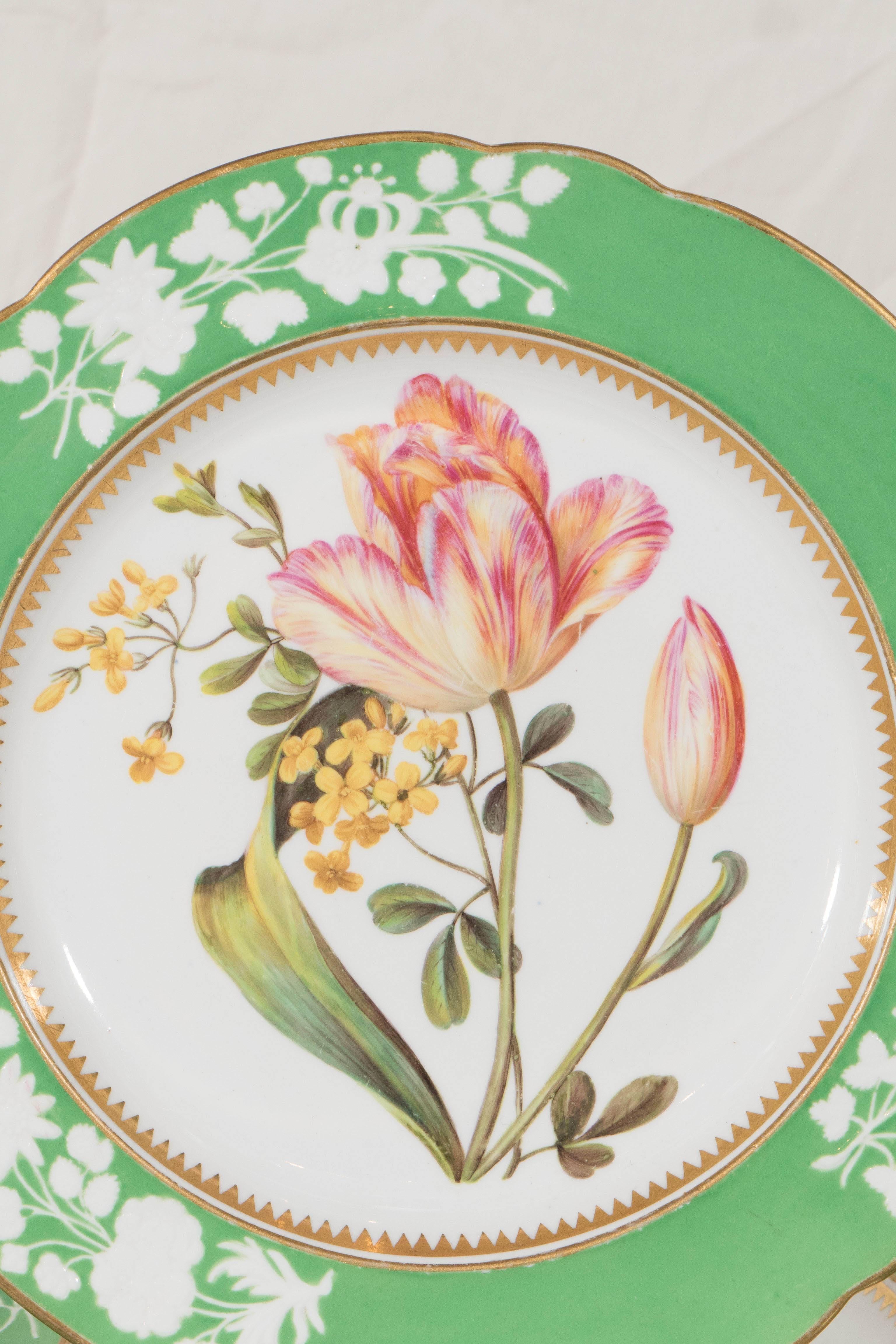 A set of twelve Spode botanical dishes each decorated with a single hand-painted flower. The individual specimens are among the most beautiful flowers we have ever seen painted on china. The borders are apple green with applied white leaves and