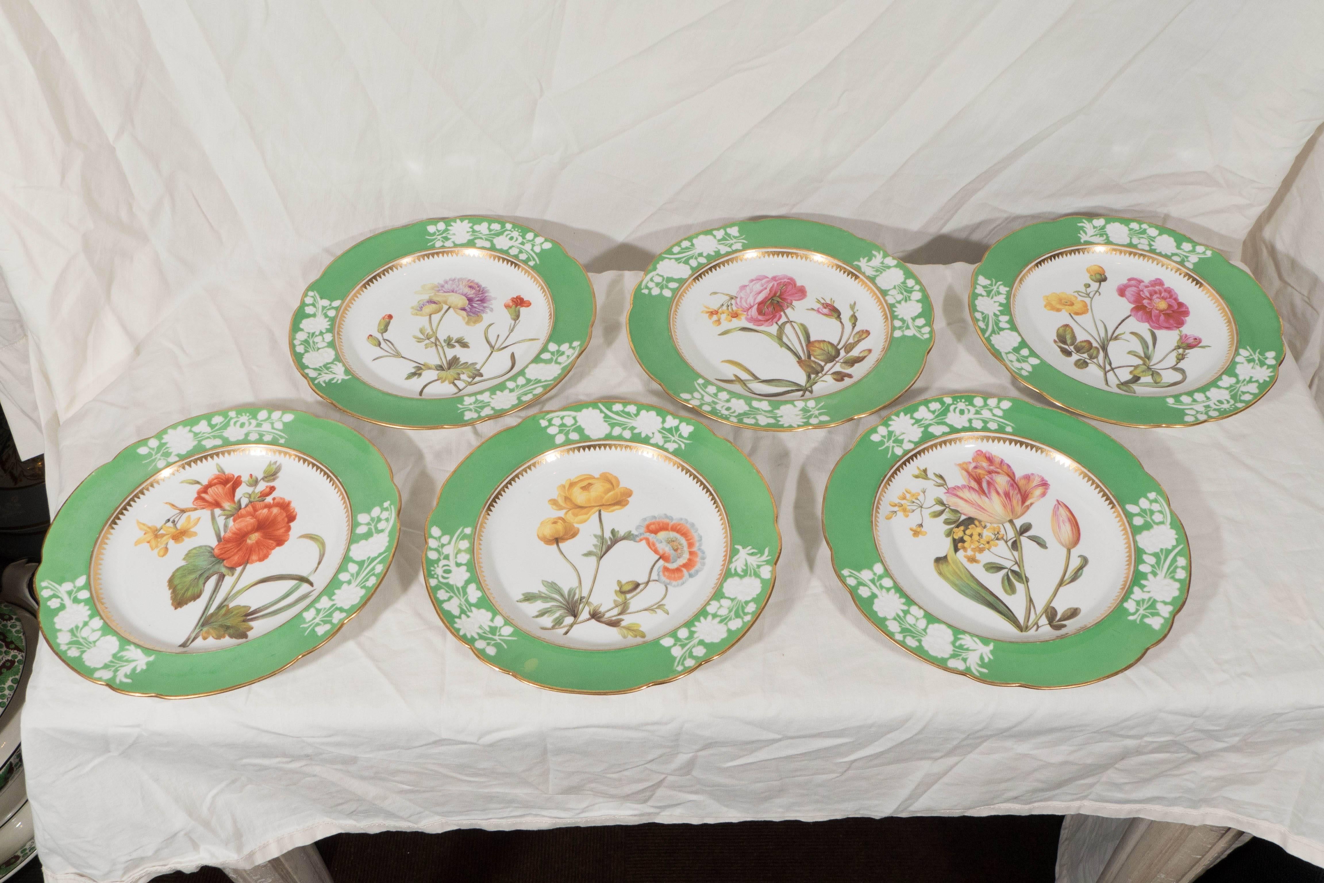 Romantic Antique Porcelain Dishes Apple Green Borders Hand-Painted  Botanical Flowers