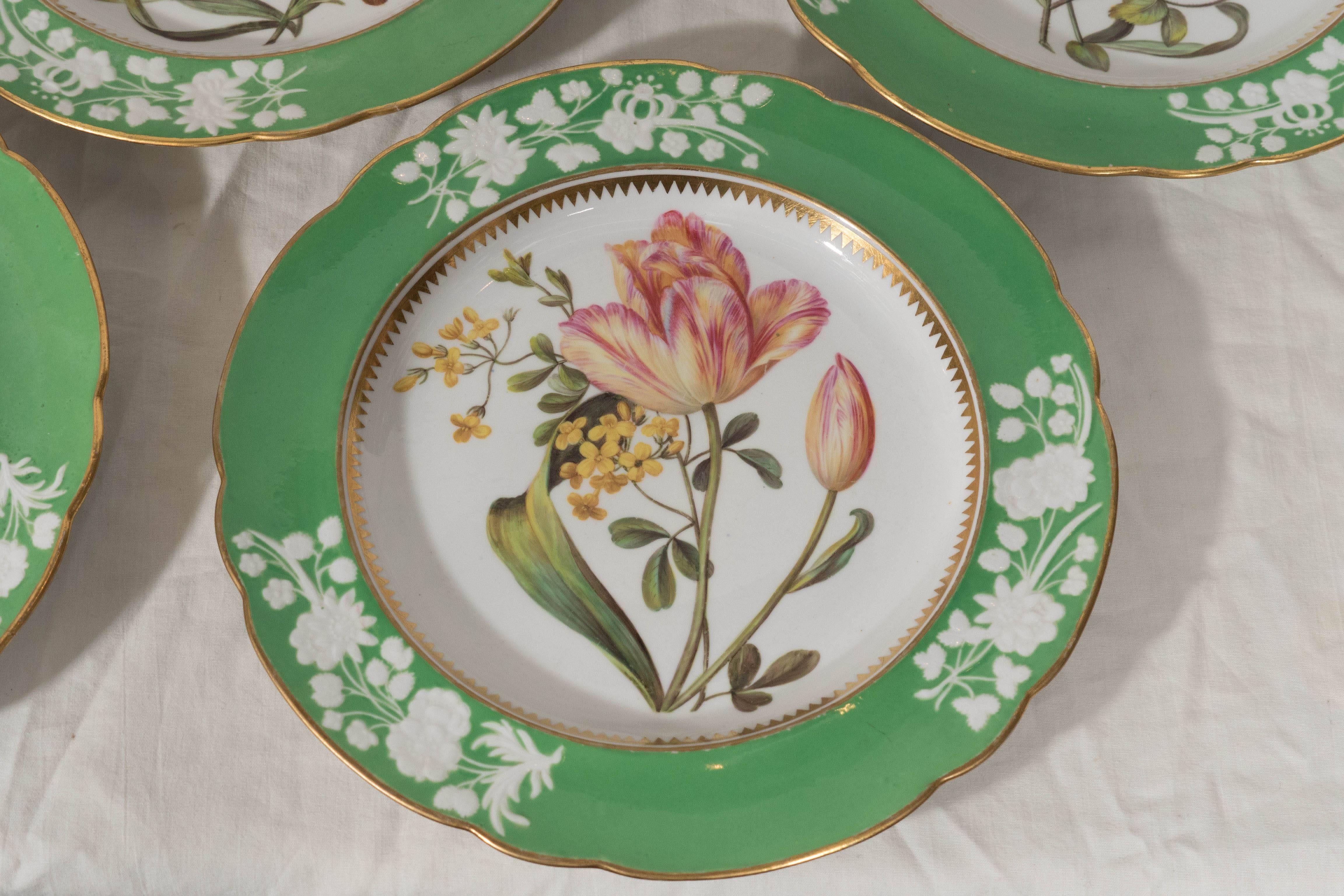English Antique Porcelain Dishes Apple Green Borders Hand-Painted  Botanical Flowers