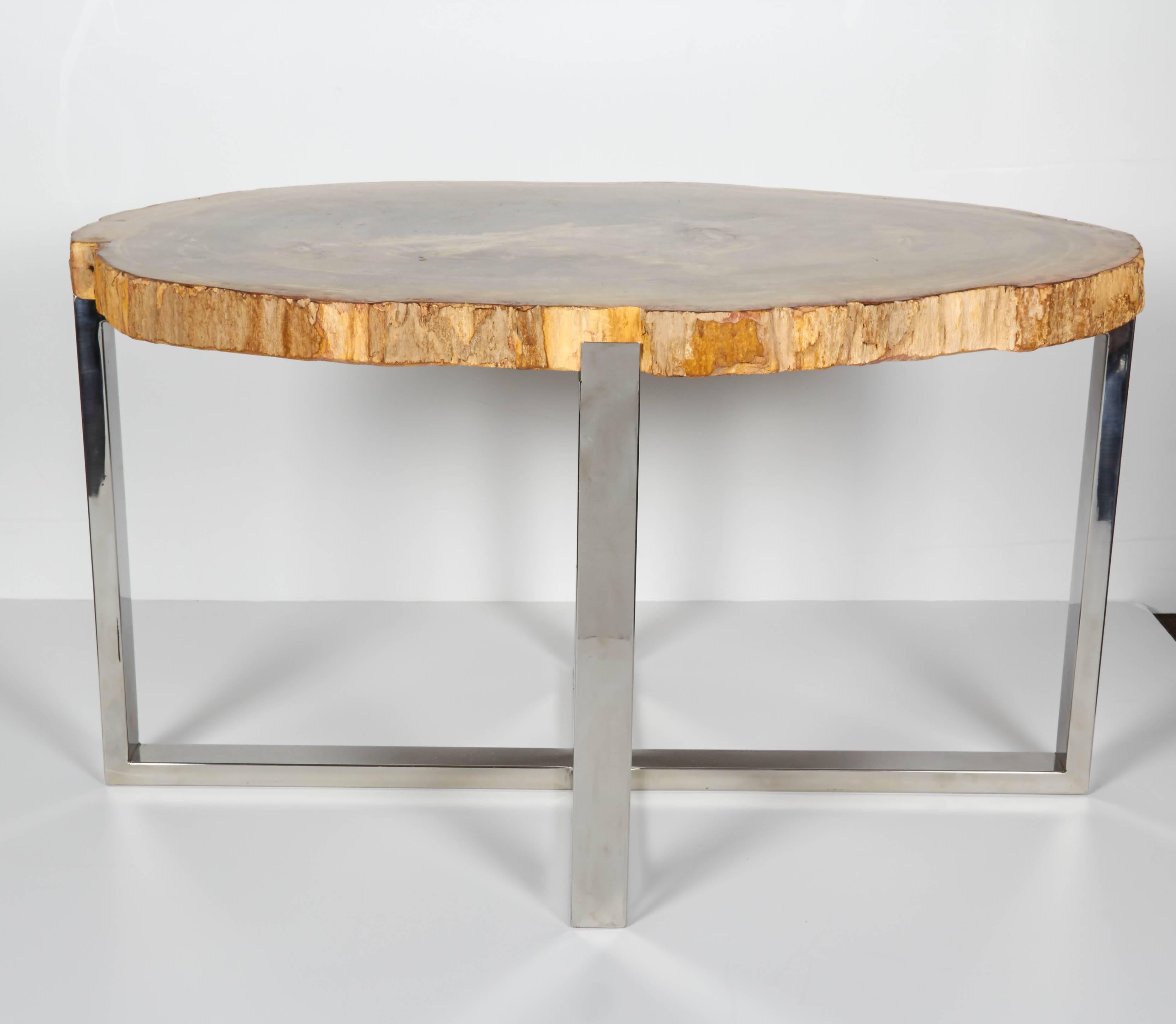 Exquisite side table or coffee table comprised of a solid slab of petrified wood, naturally fossilized throughout thousands of years. Tabletop has a polished surface and features natural raw edges. Complete with newly fitted custom steel base in a