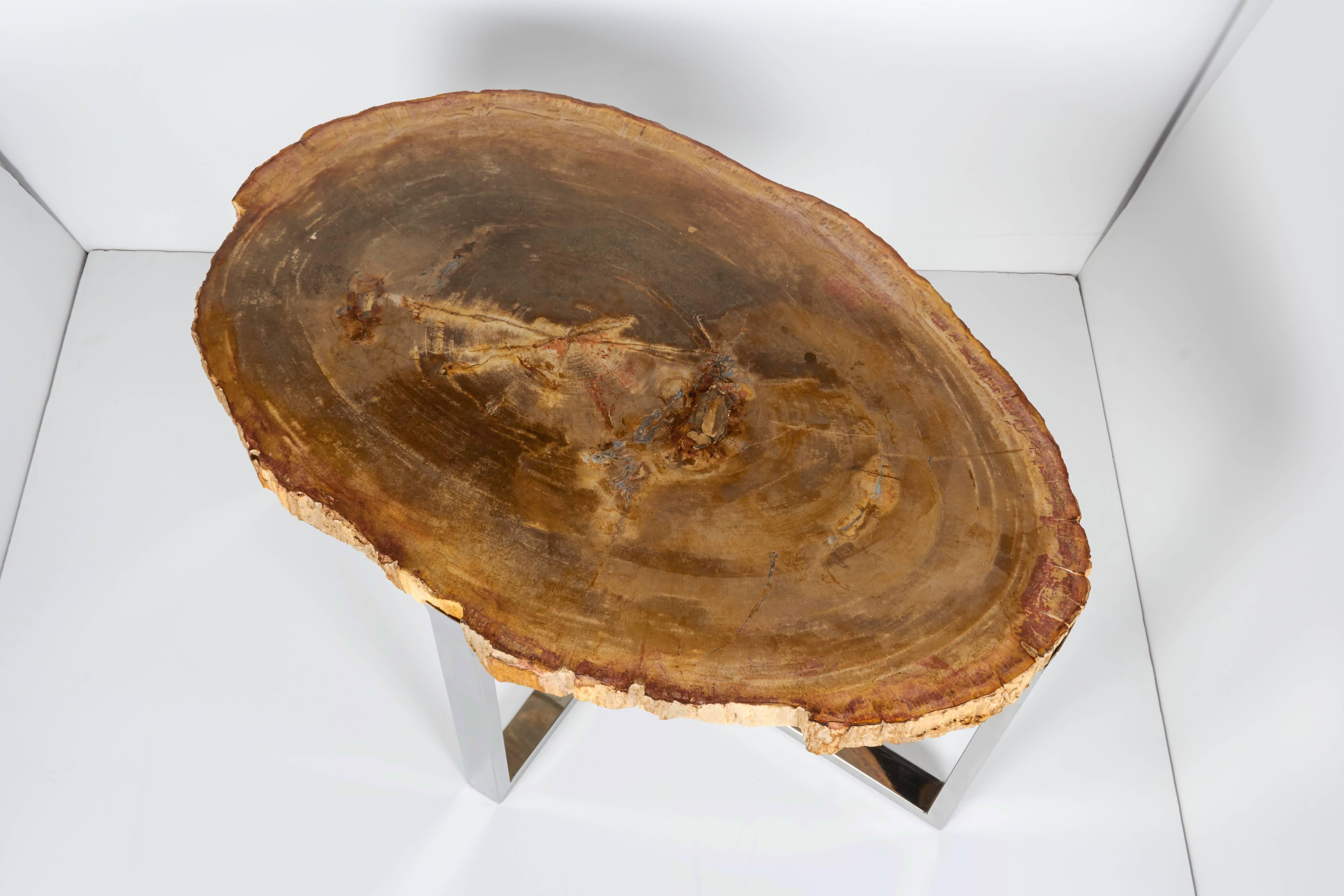Indonesian Organic Modern Petrified Wood Side Table with Chrome Base