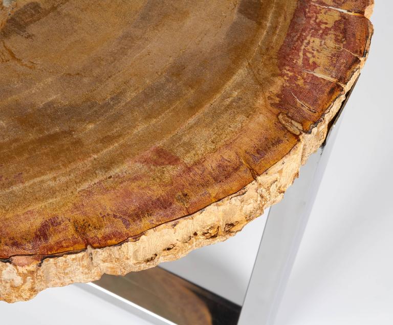 Organic Modern Petrified Wood Side Table with Chrome Base at 1stDibs