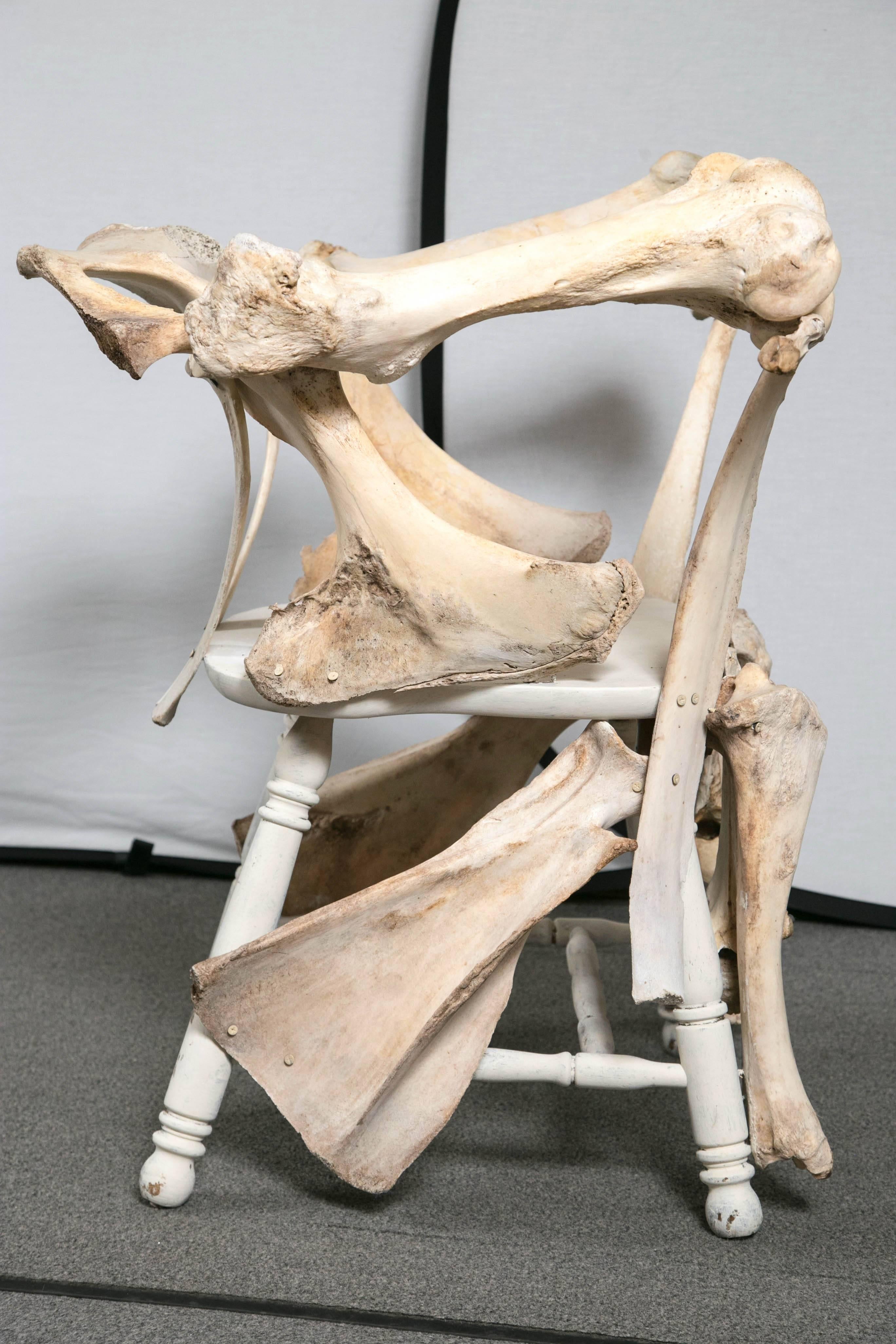 Pair of Large Bone Chairs For Sale 3
