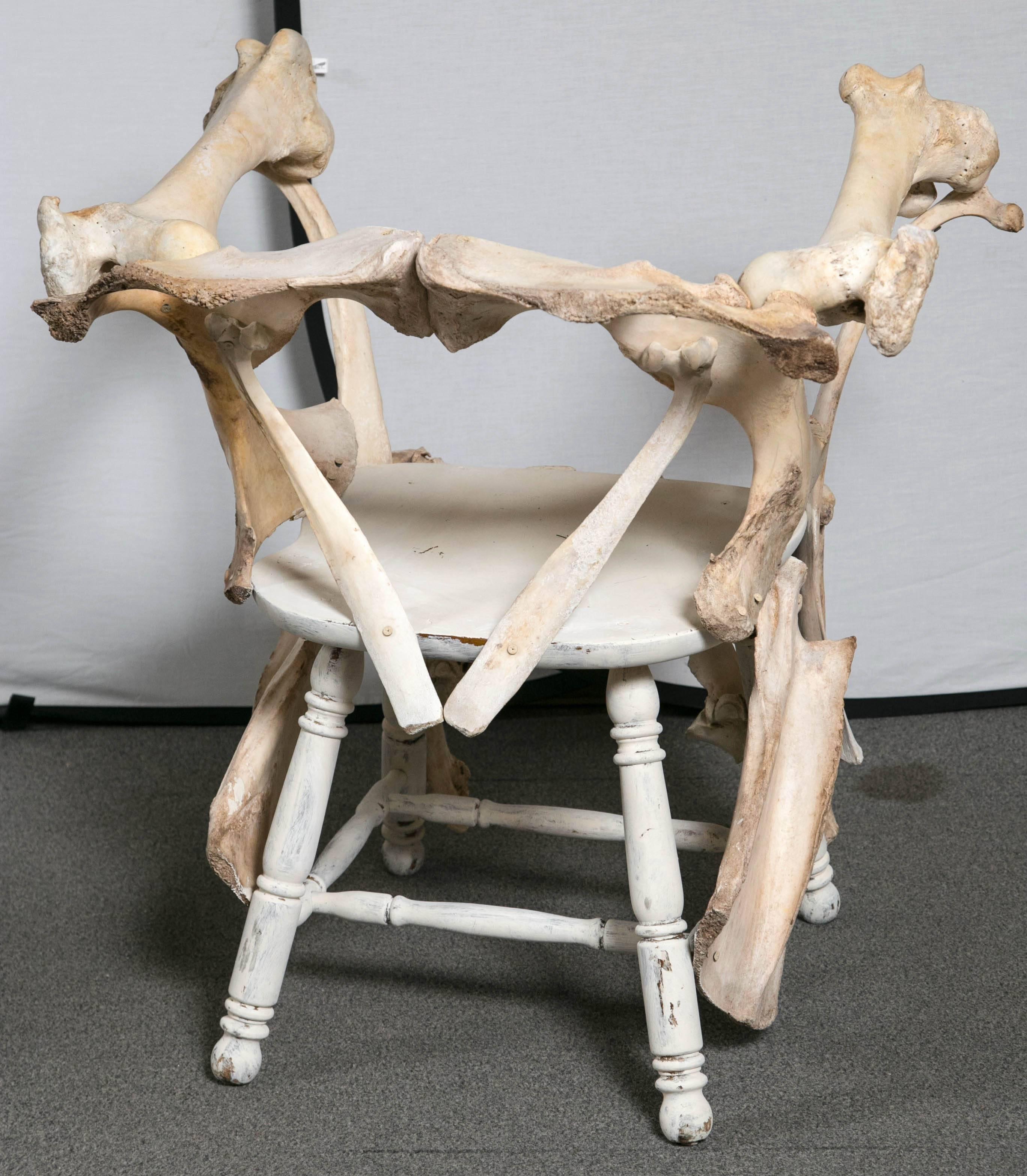 Pair of Large Bone Chairs For Sale 4