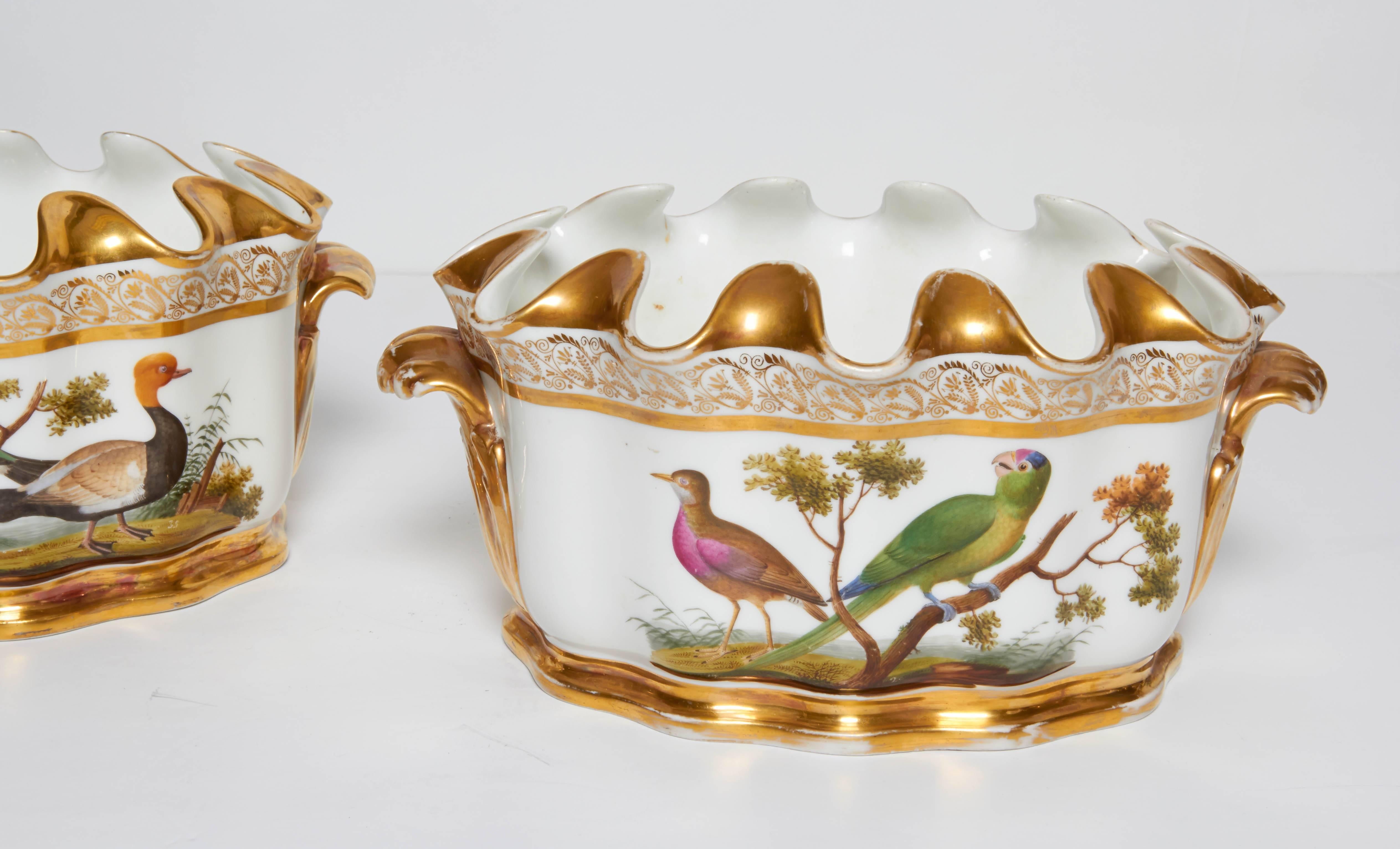 A pair of naples-decorated porcelain ornithological glass coolers,
circa 1830-1840, the decoration attributed to Raffaele Giovine.

Of typical undulating form, each oval monteith finely painted front and back with vignettes of paired exotic birds