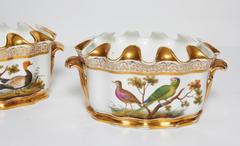 Pair of Naples-Decorated Porcelain Ornithological Glass Cooler/Rinser/Monteith