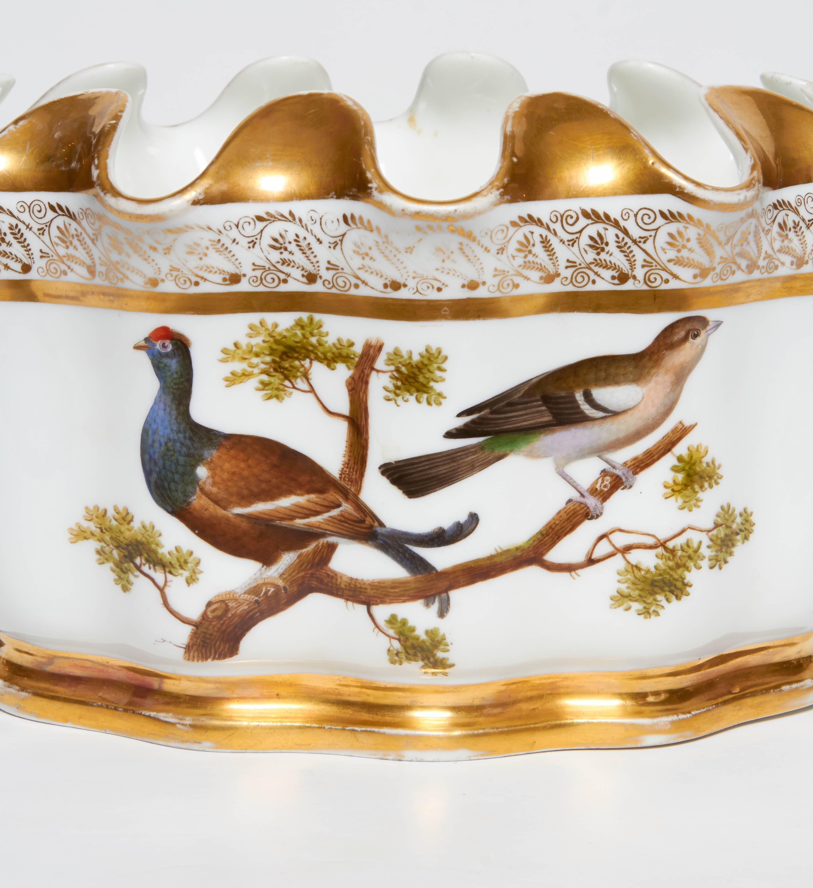 Gilt Pair of Naples-Decorated Porcelain Ornithological Glass Cooler/Rinser/Monteith