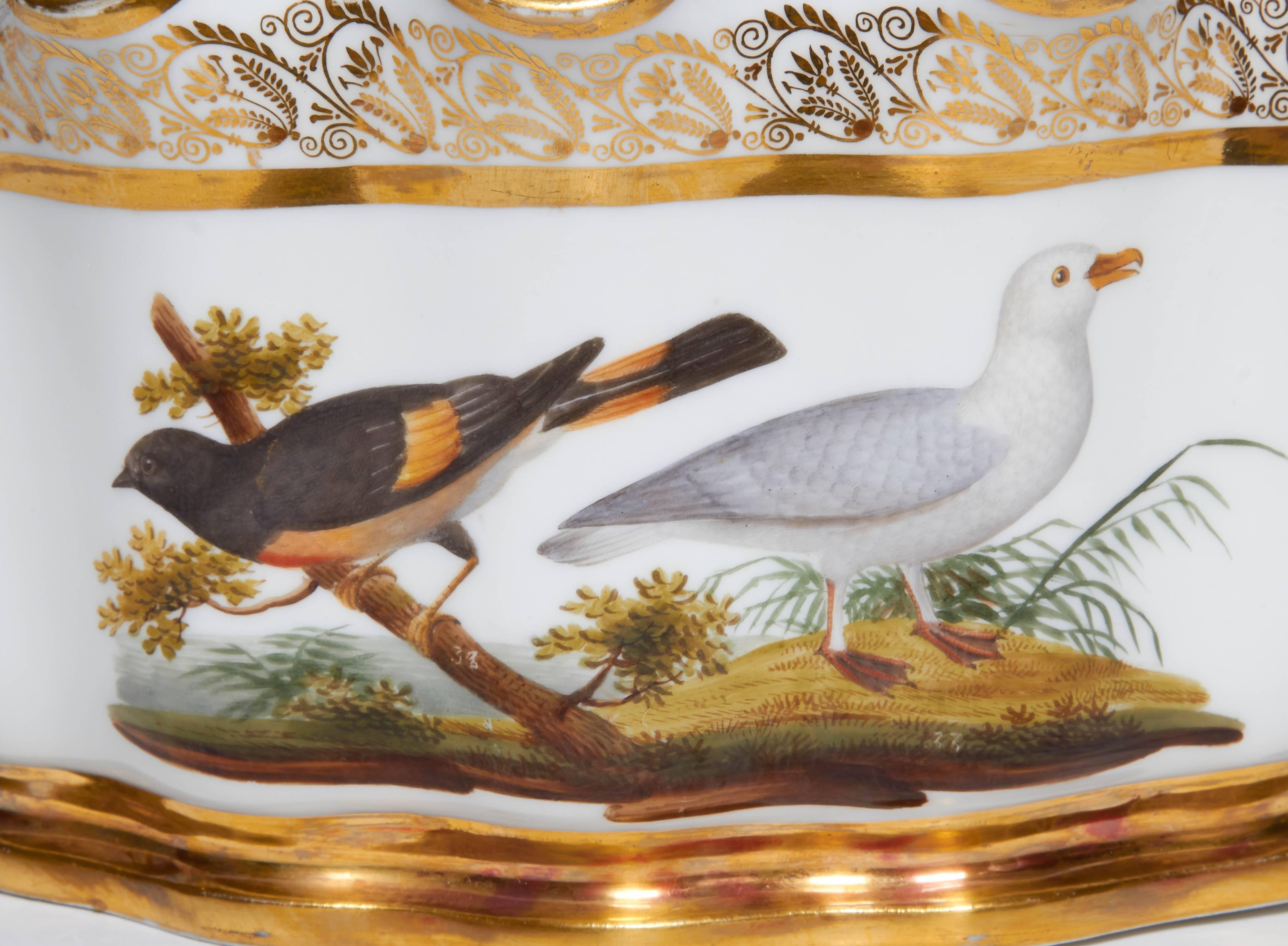 Pair of Naples-Decorated Porcelain Ornithological Glass Cooler/Rinser/Monteith In Excellent Condition In New York, NY