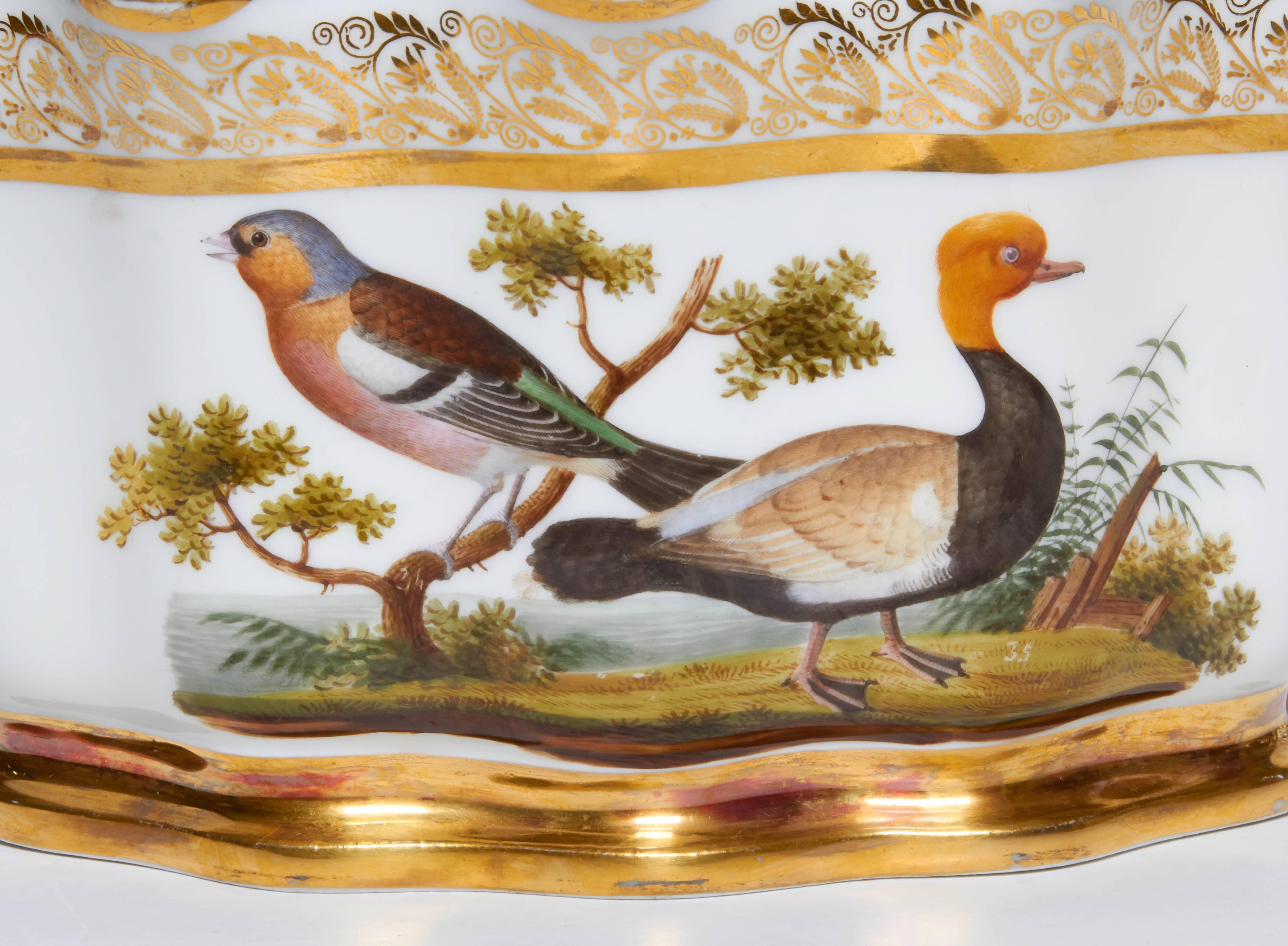 Mid-19th Century Pair of Naples-Decorated Porcelain Ornithological Glass Cooler/Rinser/Monteith