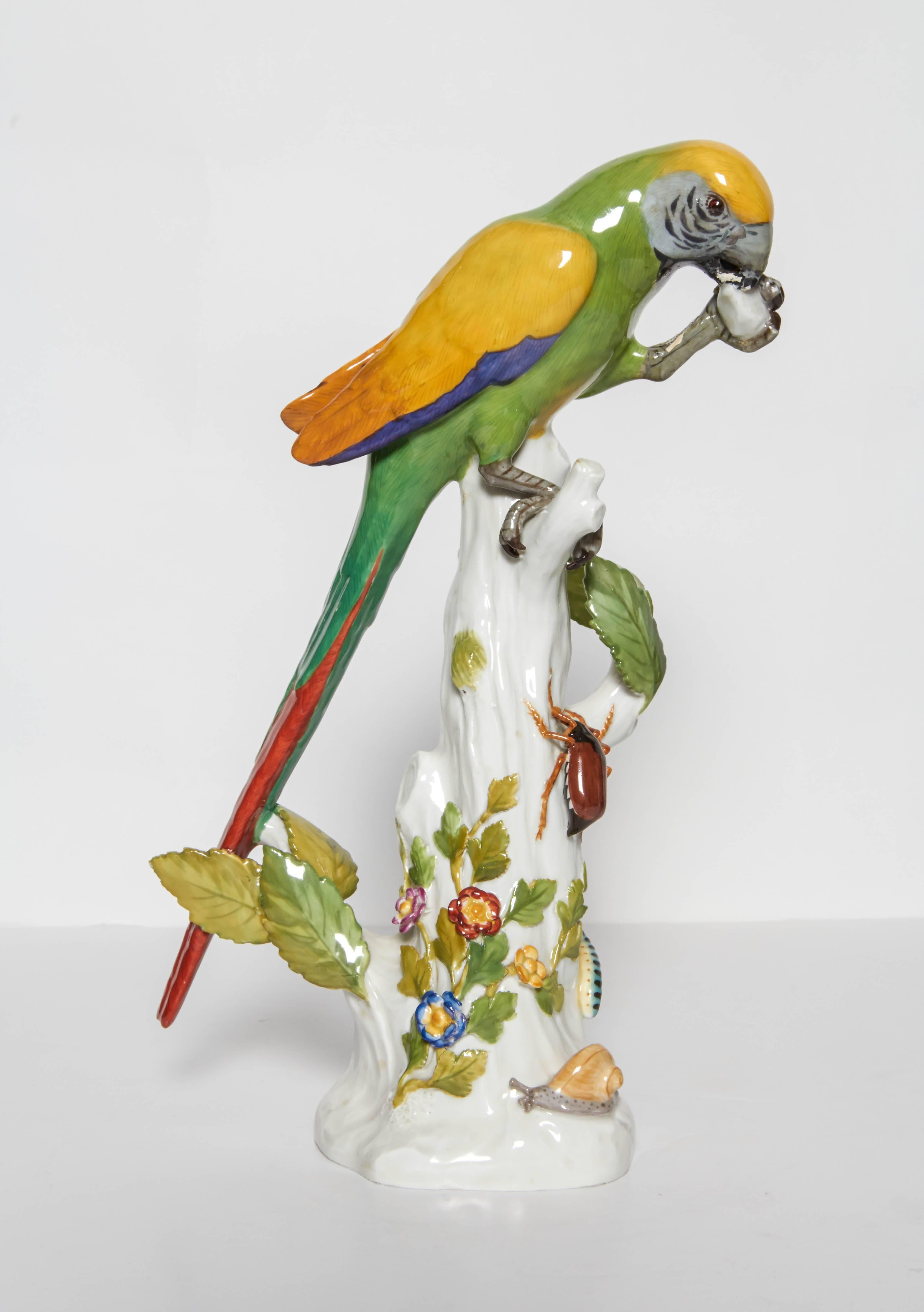 meissen porcelain parrots