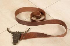 McQ by Alexander McQueen Brown Leather Belt with Bull Buckle