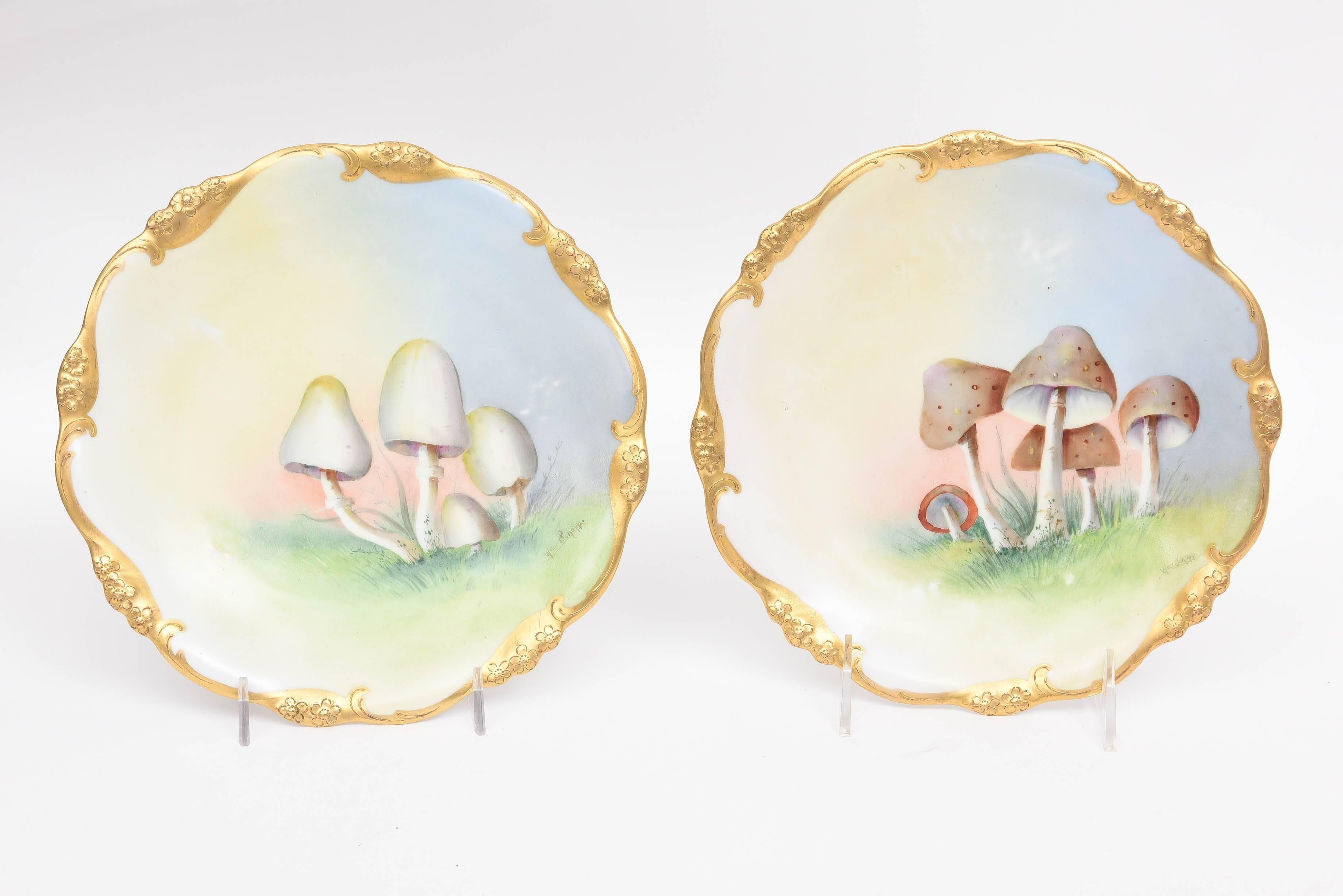 12 Antique Hand-Painted Mushroom Plates, Gold Trim, Limoges 1