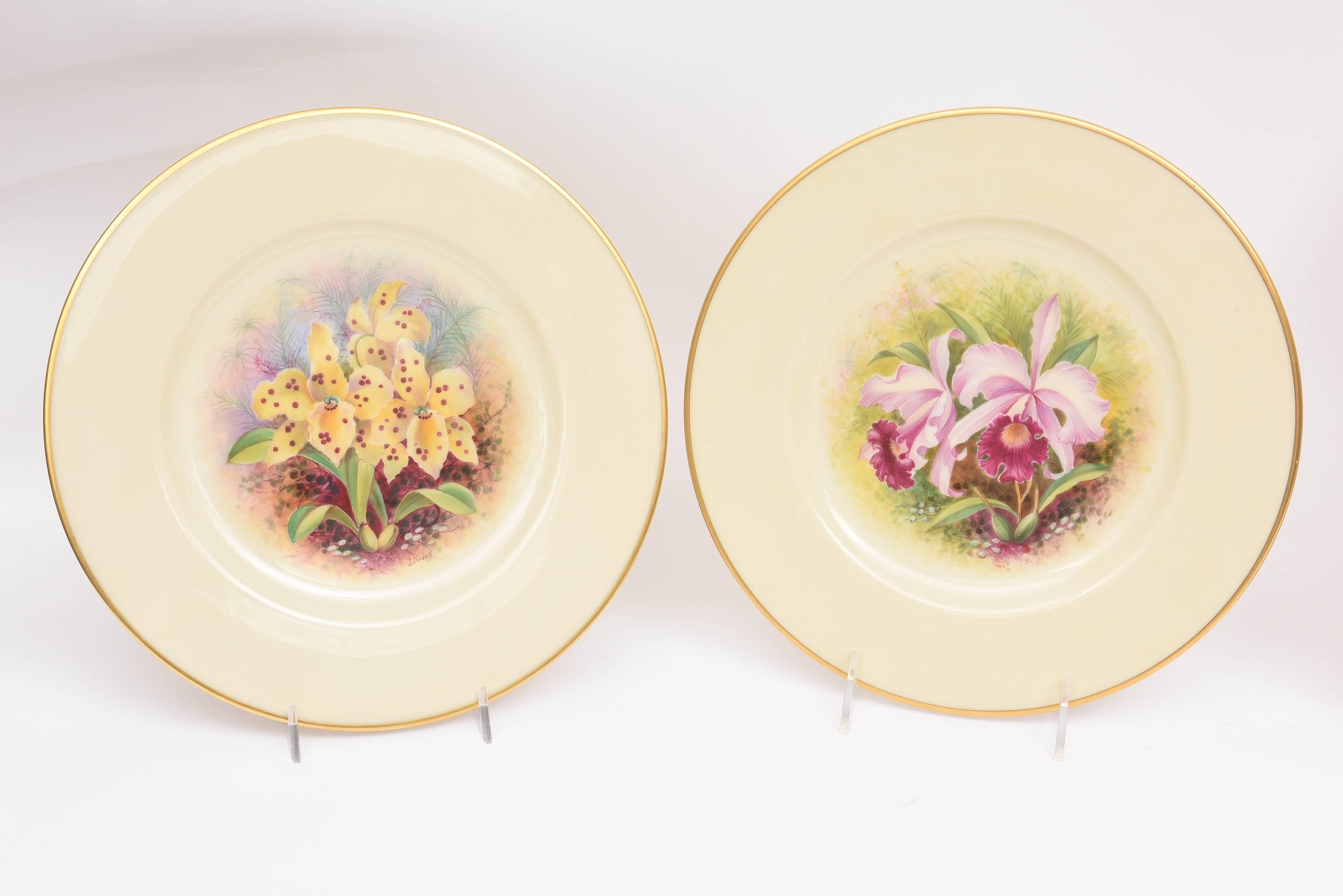 Gilt 12 Exquisite Hand Painted Orchid Plates, Artist Signed 