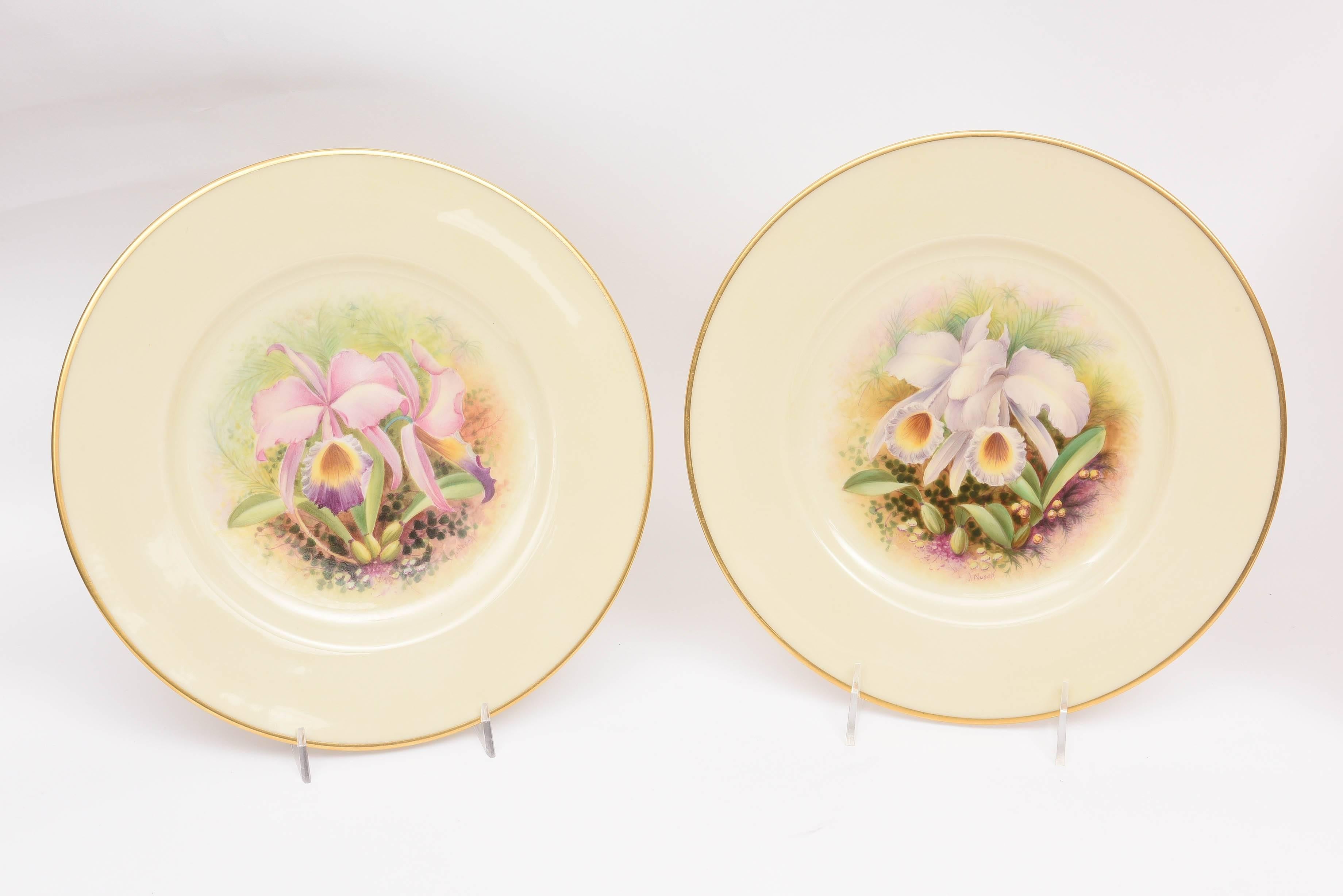 Gold 12 Exquisite Hand Painted Orchid Plates, Artist Signed 