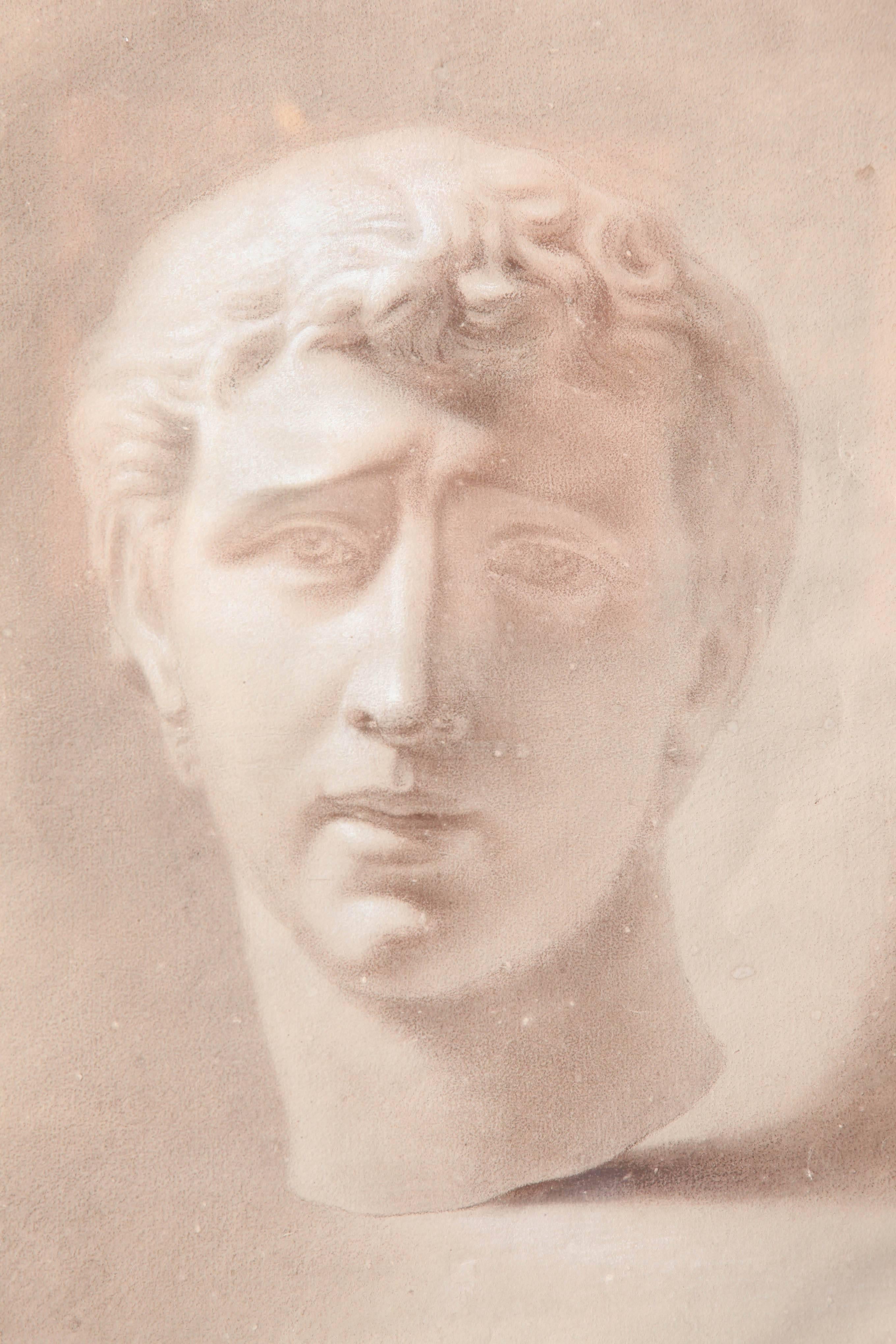 Sepia Drawing of a Caesar in an Ebonized Frame For Sale 3