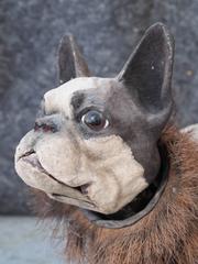 French Papier Mache "Growler" French Bulldog Pull Toy