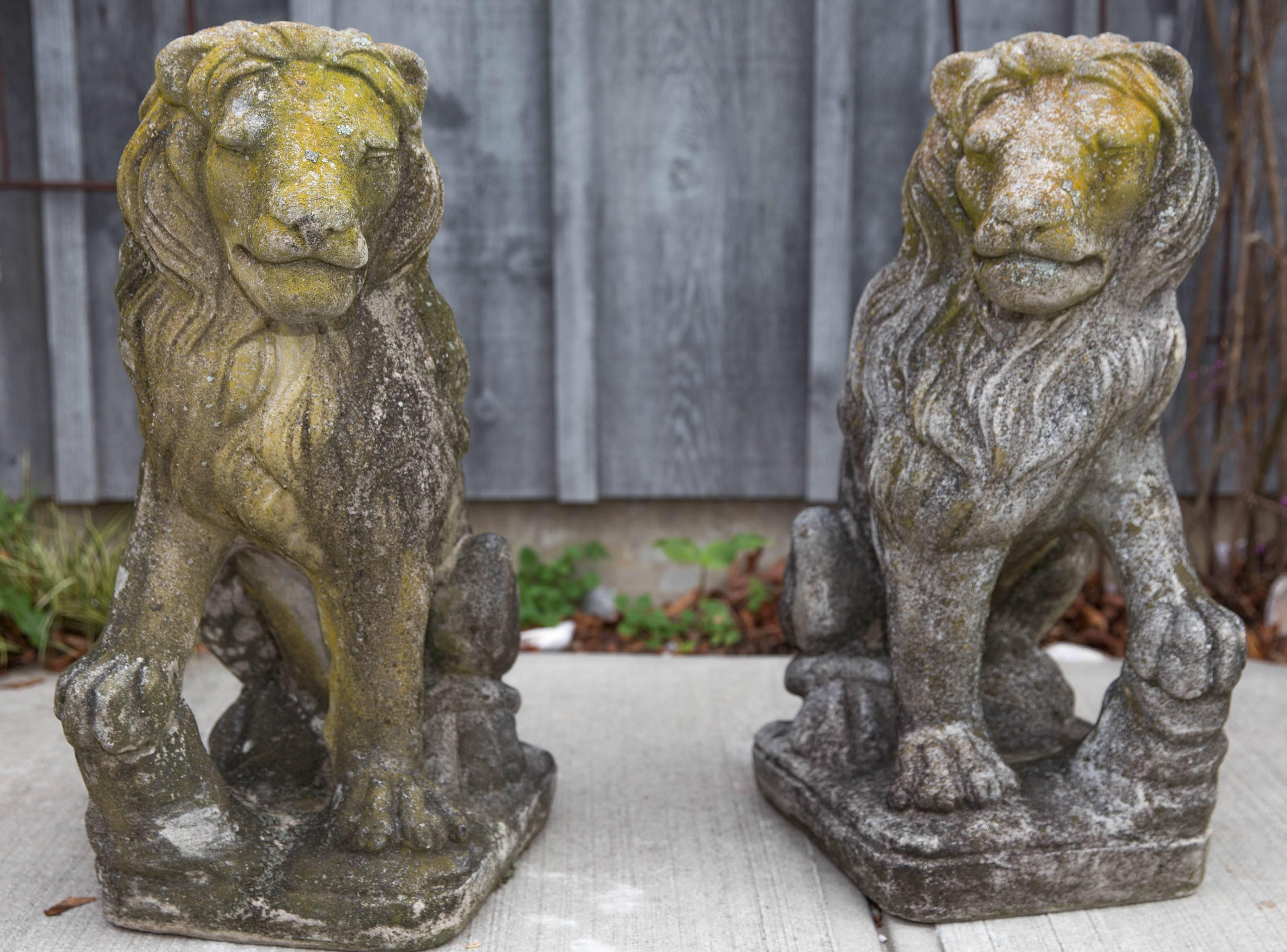 Pair of cast concrete vintage garden lions with beautiful patina.