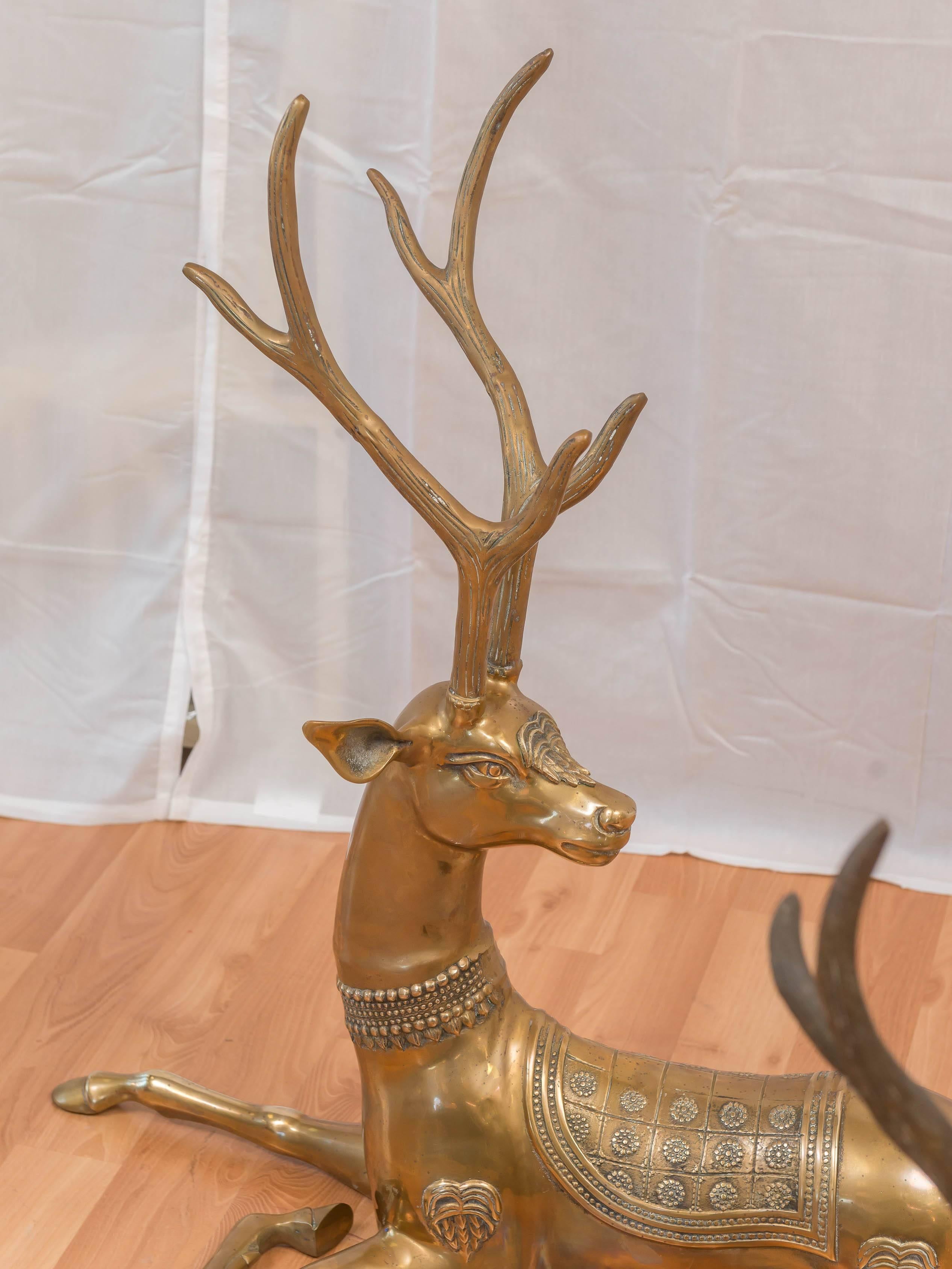 A herd of brass deer by Sarreid, from Spain. Their in different states of patina, all have different poses. Sizes, far left 32.50 x 12.50 x 35in high, middle 32.50 x 7.50 x 31.50in high, far right measurements below.  Offered as a set $3,600.00 Now