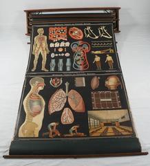 Denoyer Geppert Vintage Science Charts and Maps, Steampunk Industrial