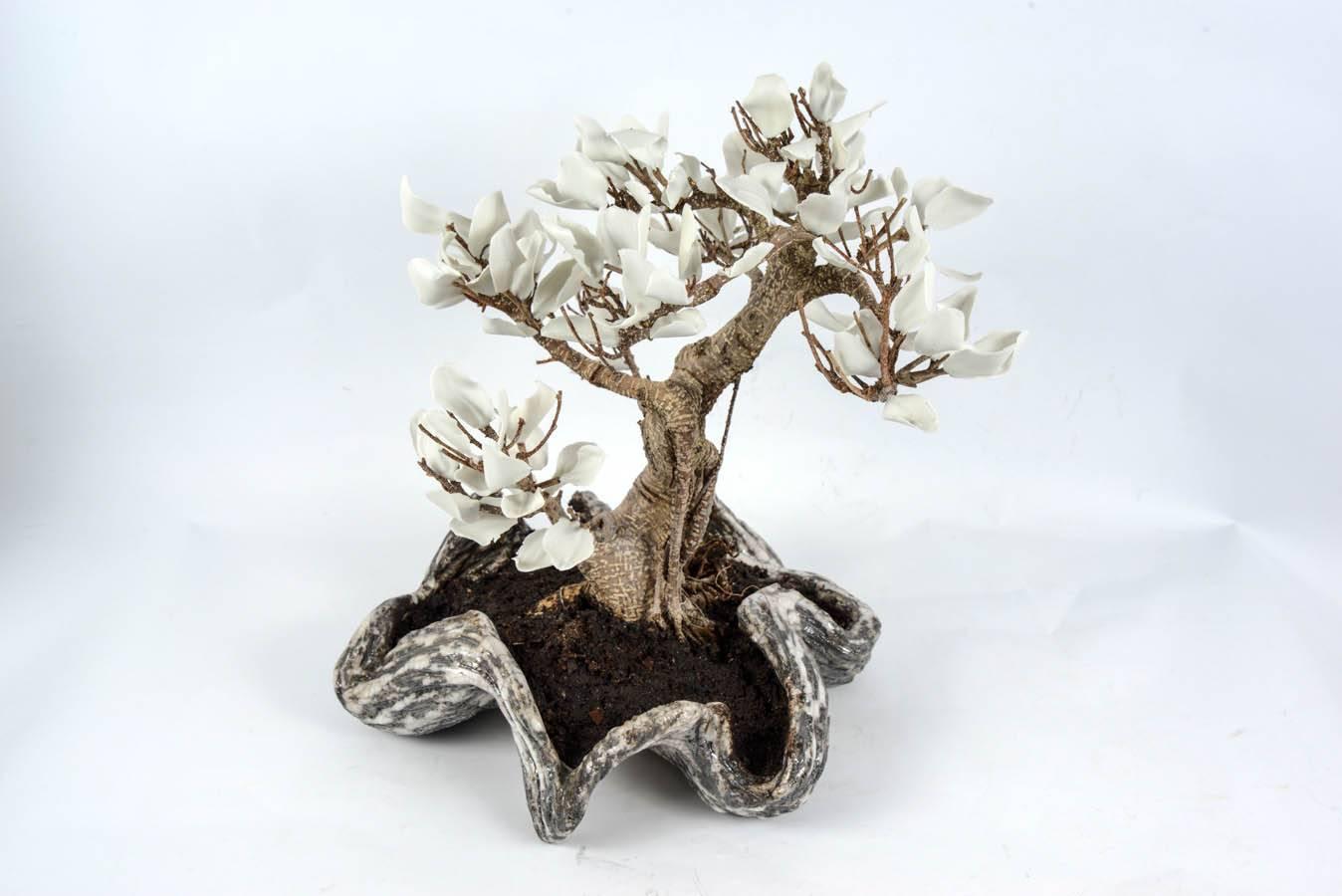 Français Tree composé de plantes et de feuilles naturelles en céramique blanche en vente
