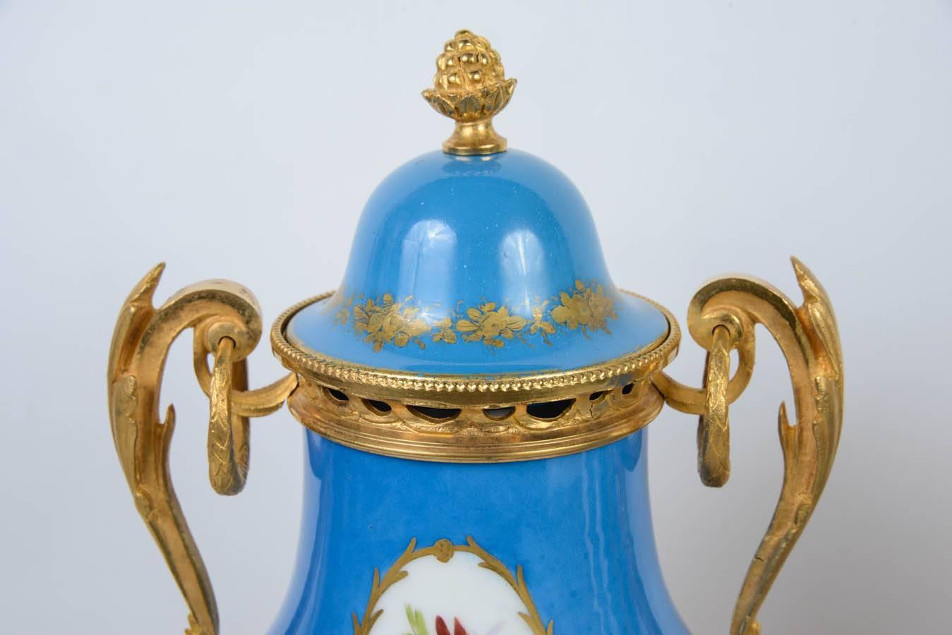 Louis XVI Pair of Sèvres Porcelain Vases For Sale