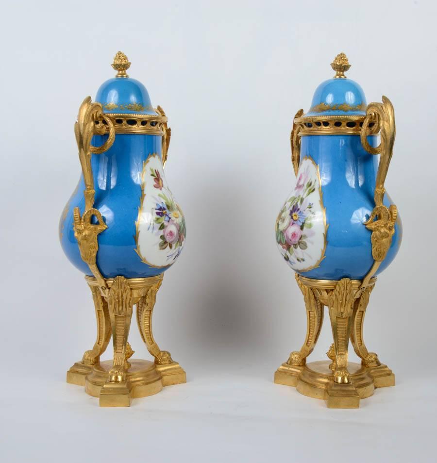 19th Century Pair of Sèvres Porcelain Vases For Sale
