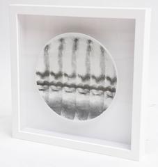 Framed Fornasetti "Tema E Variazione" Plate