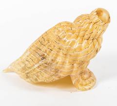 Large Murano Glass Conch Shell Sculpture with Brown Detail