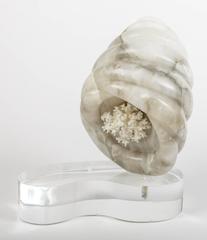 Marble Shell Form Sculpture on a Lucite Base with Coral Interior
