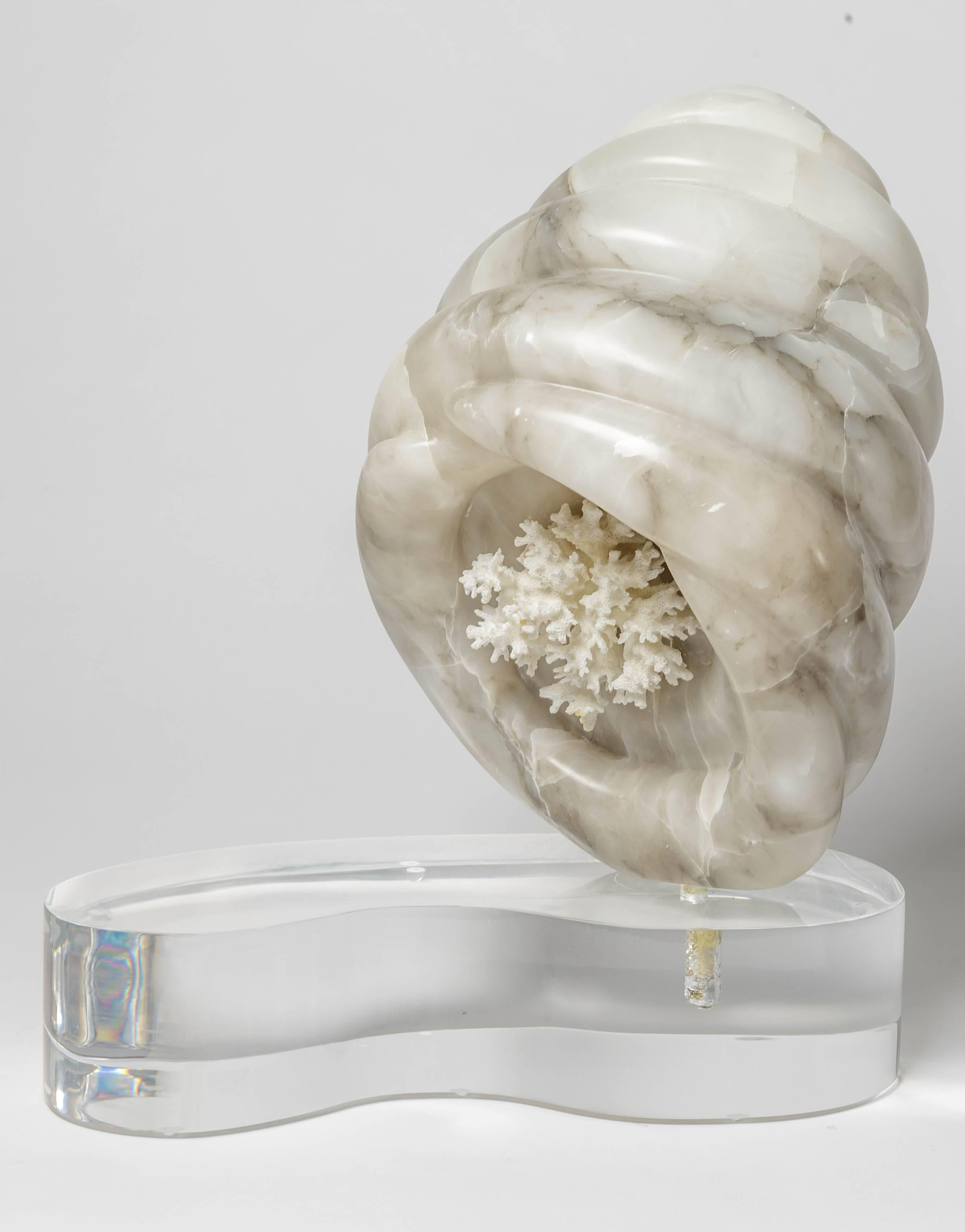 20th Century Marble Shell Form Sculpture on a Lucite Base with Coral Interior For Sale