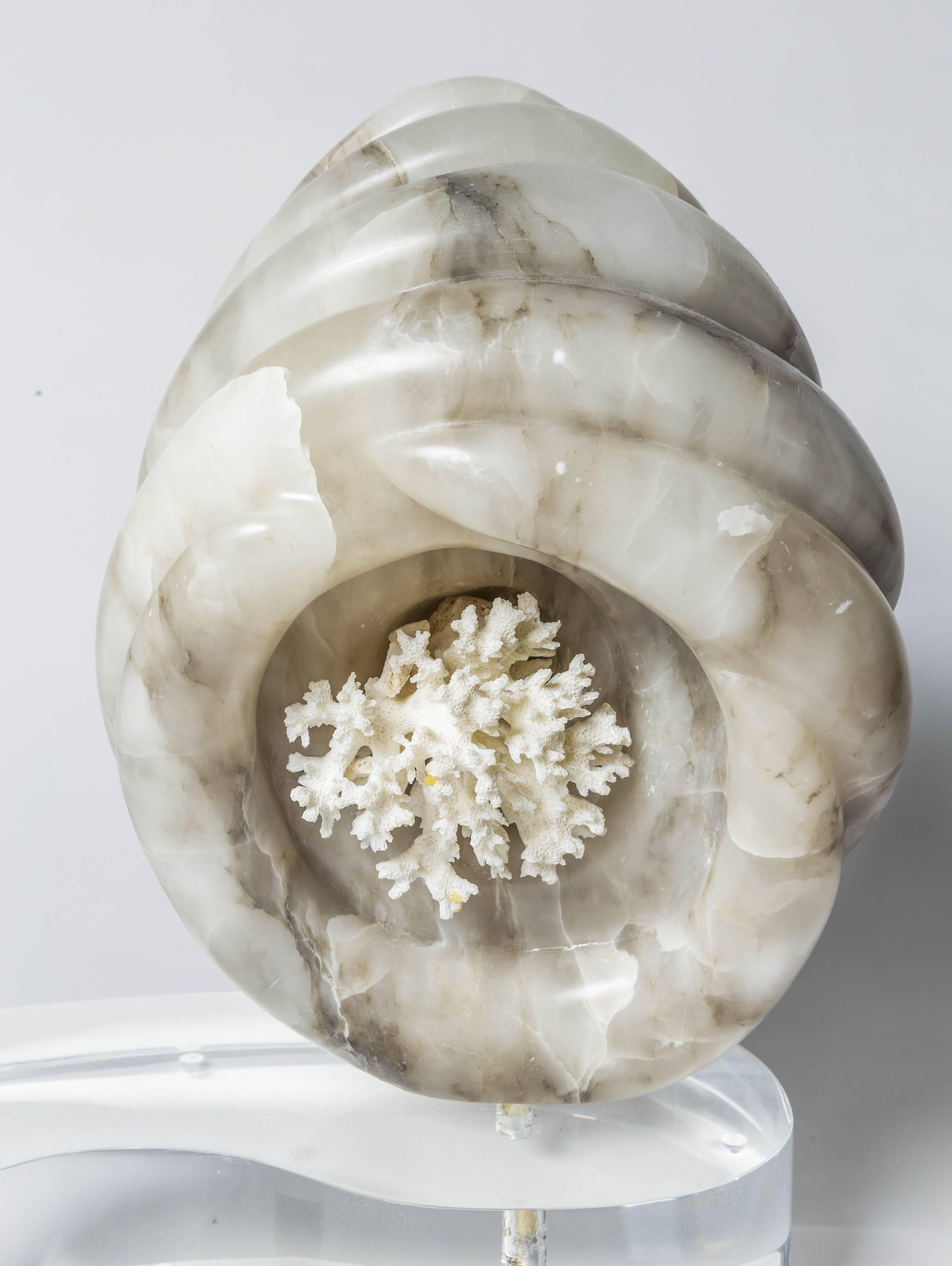 Marble Shell Form Sculpture on a Lucite Base with Coral Interior For Sale 4