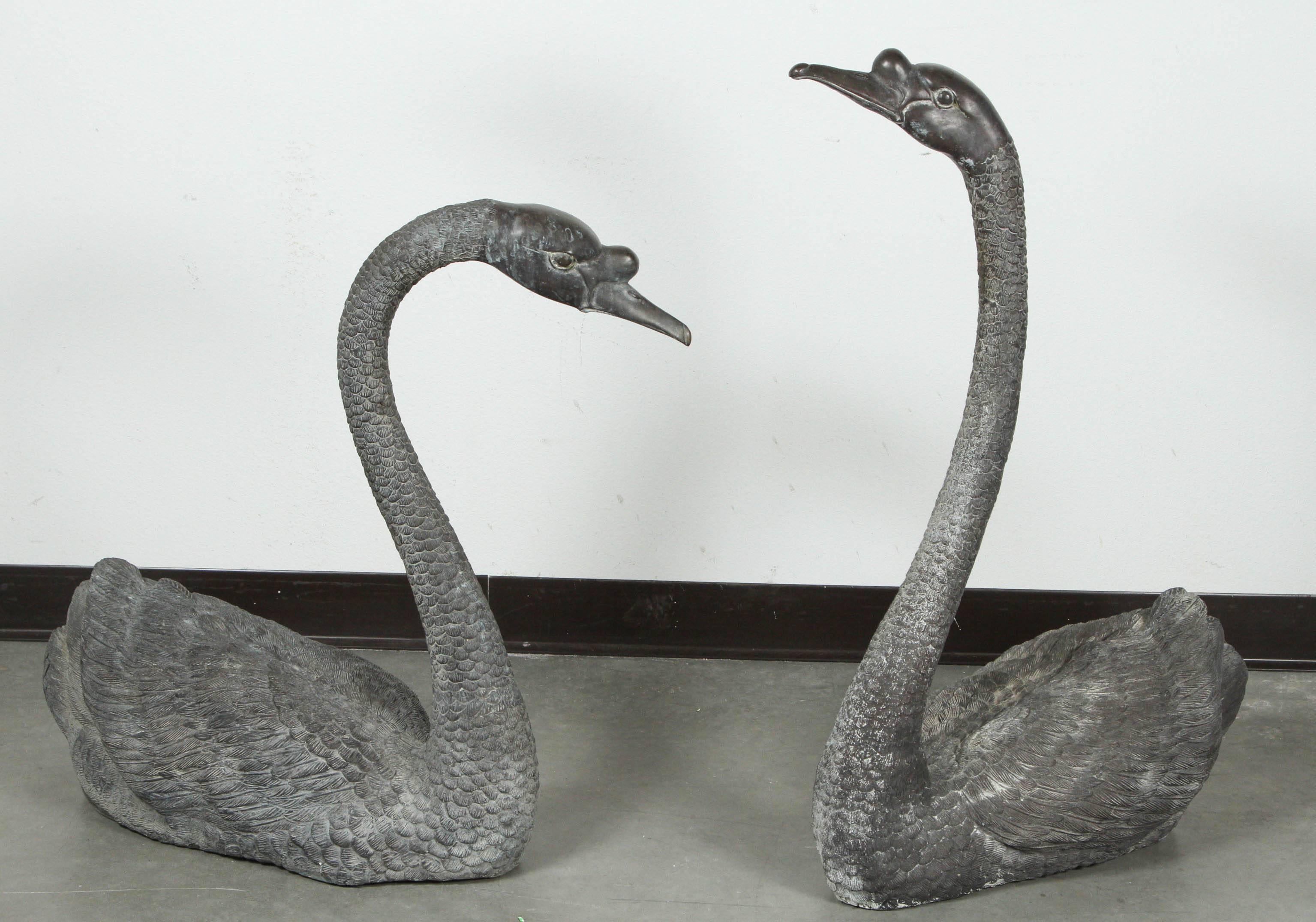 Gorgeous pair of lifesize swans cast in bronze. Their poses are different and complimentary. They are finished with great attention to the realistic detailing of the feathers and have a lovely patina from the elements.