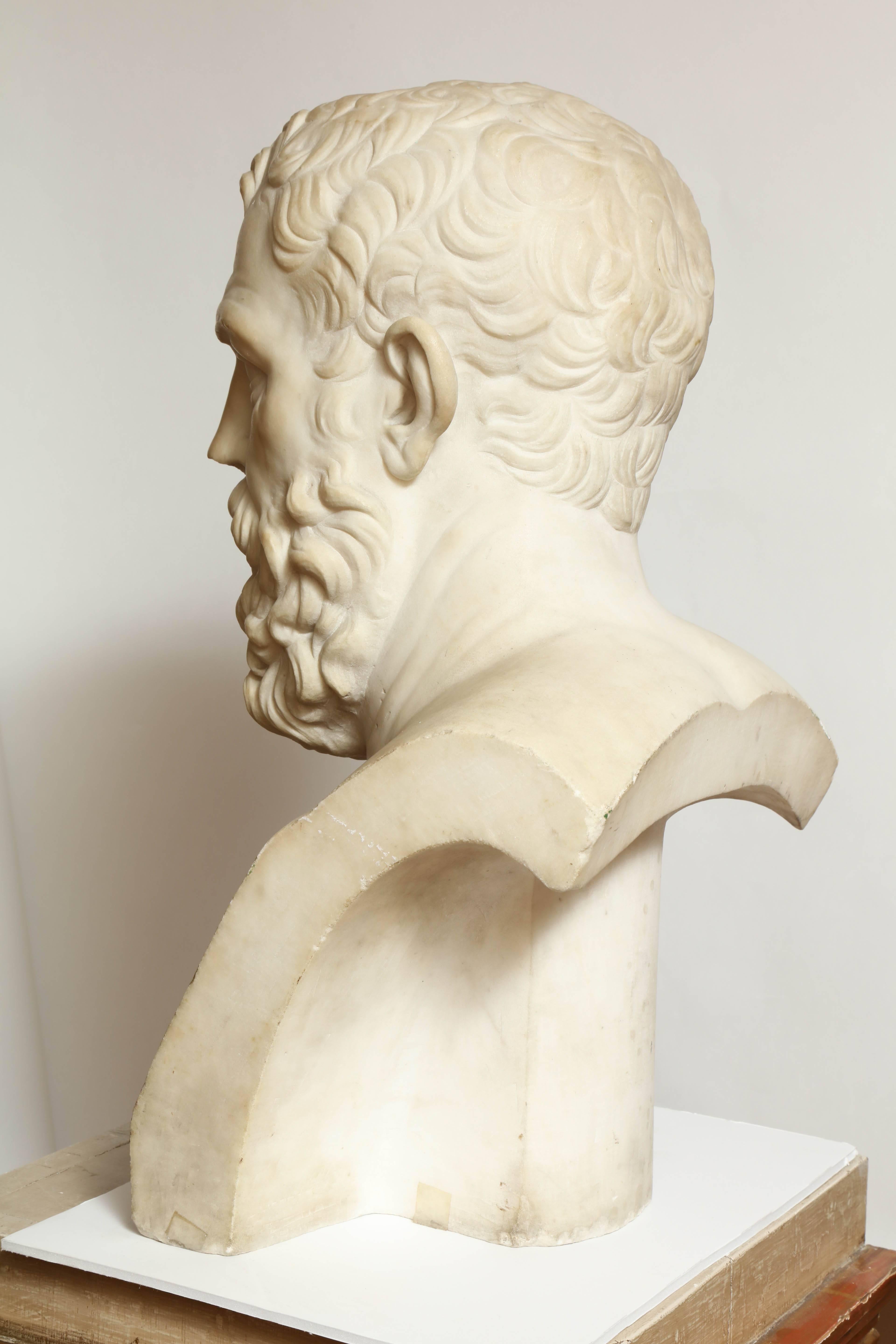 Italian Marble Bust of Poet and Statesman Solon 3
