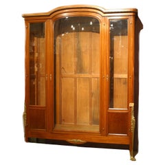 French Victorian Walnut Bookcase