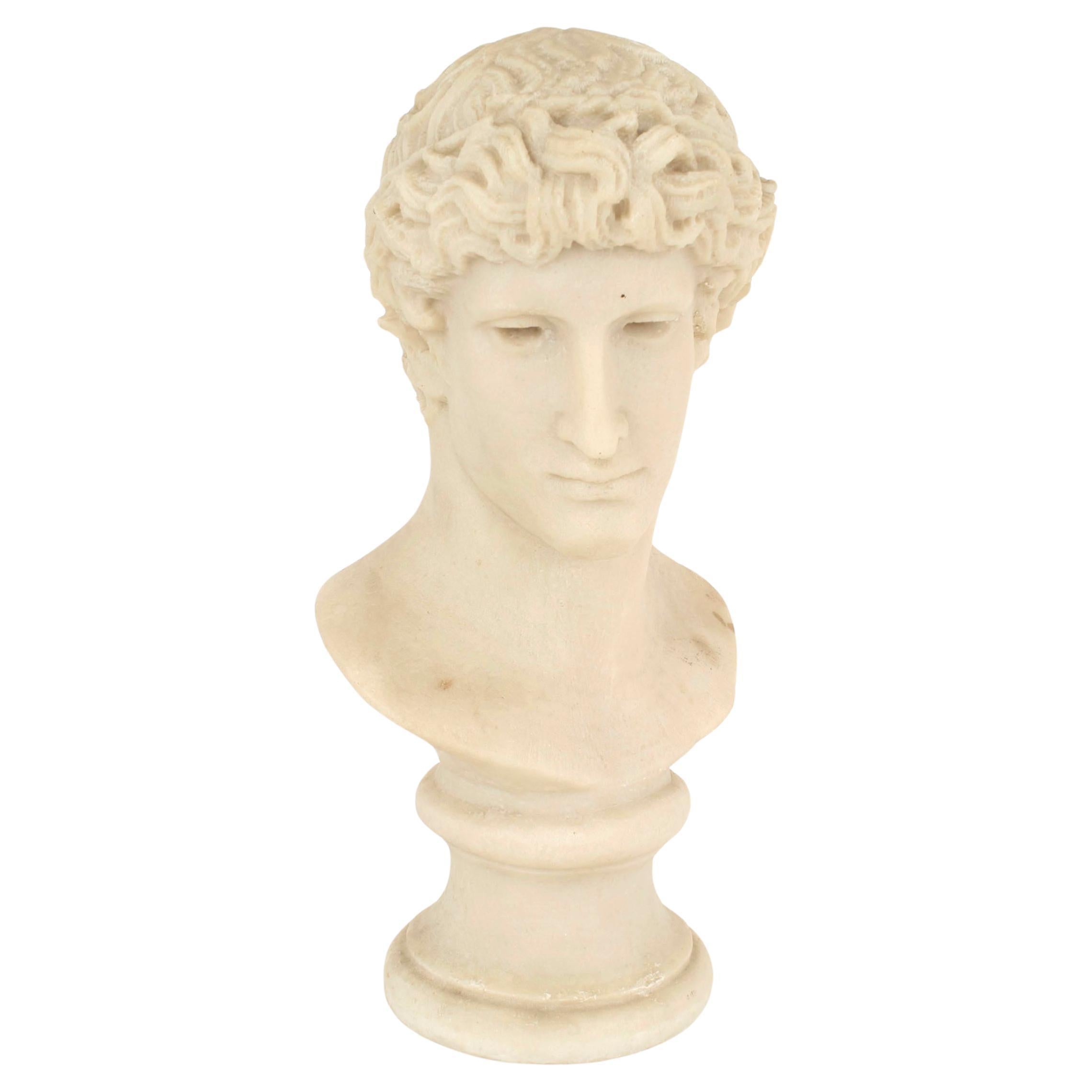 Italian Neo-classic Resin Man Bust For Sale