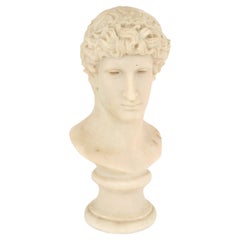 Italian Neo-classic Resin Man Bust