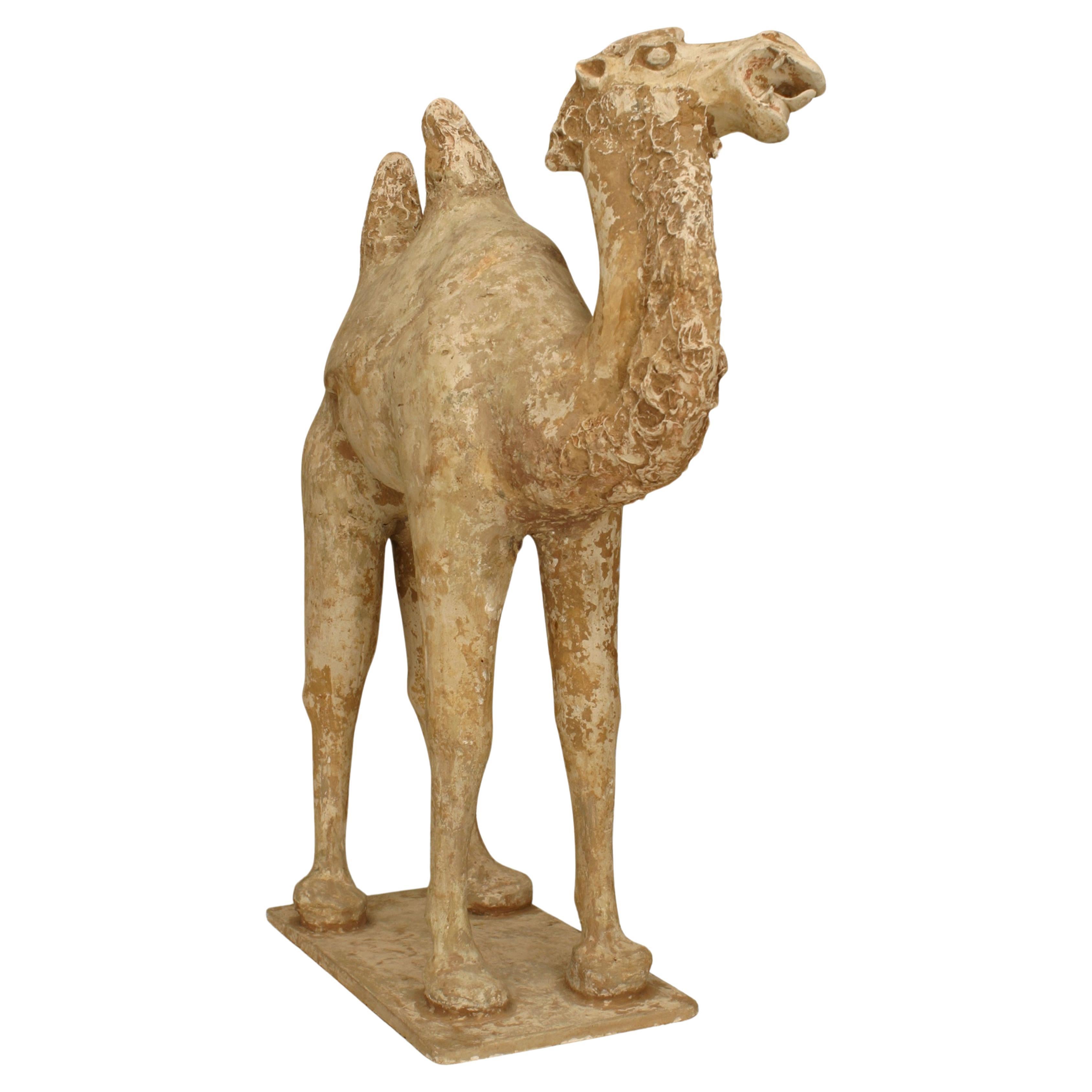 Tang Dynasty Camel Sculpture, Unglazed Porcelain, 20th Century For Sale
