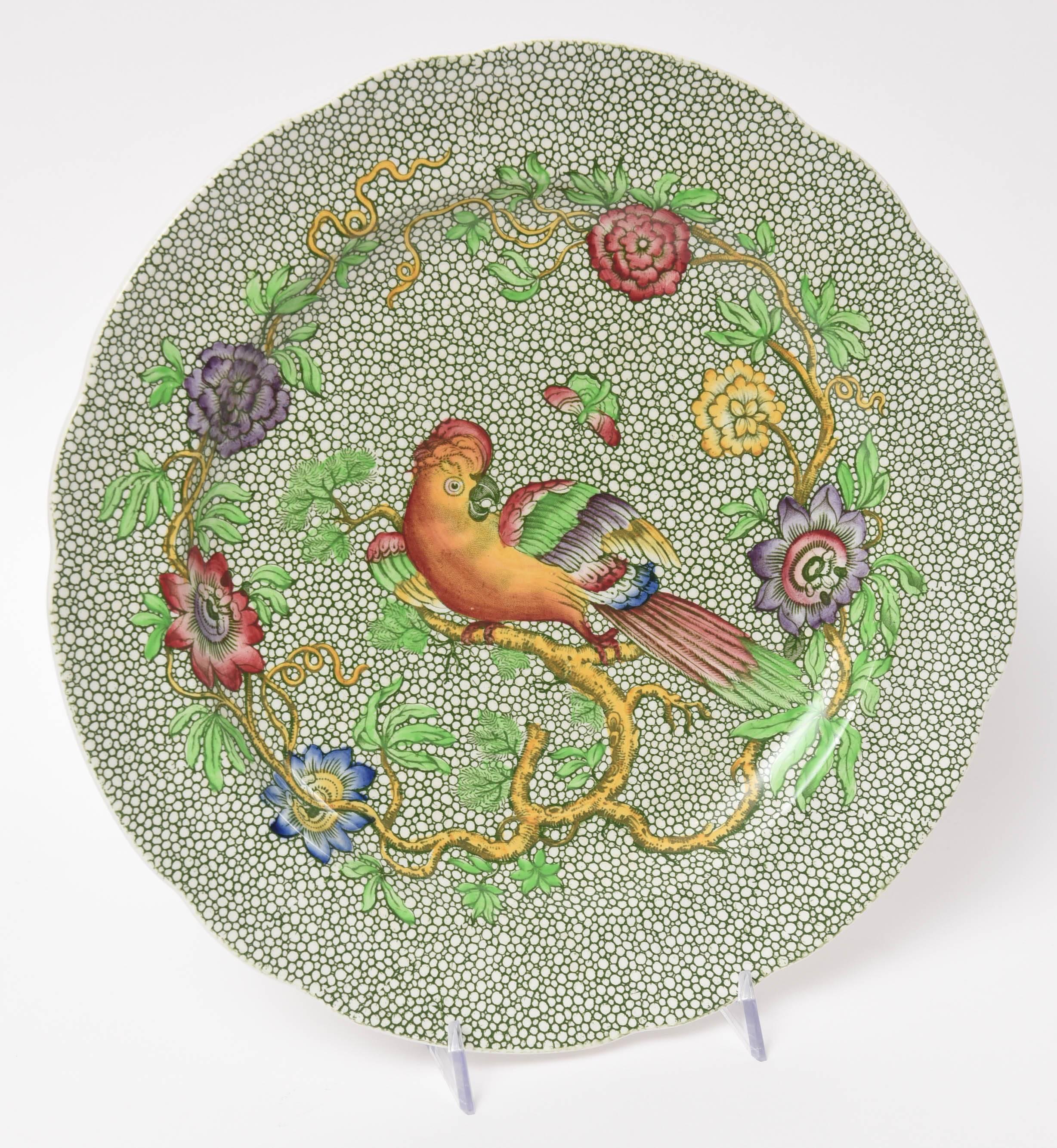 One of our favorite colorful patterns by Spode. Originally issued in the early 1800s these plates bear the hallmark for the 1920s. Lovingly hand colored on their transfer pattern with Spode's all-over 