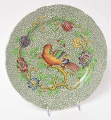 Antique Spode Plates, England "Parrot" Plates. Hand Colored