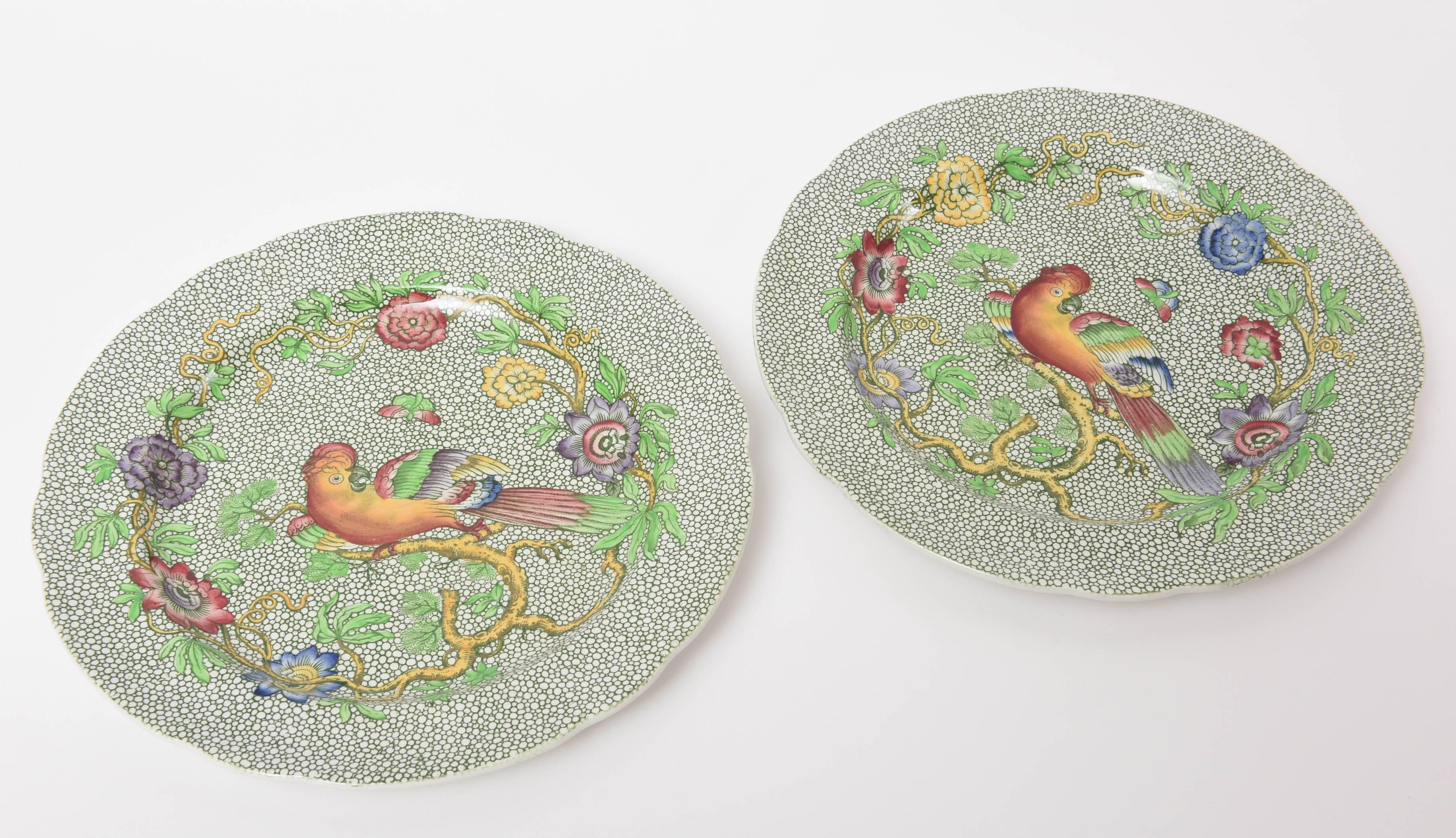 Hand-Crafted Antique Spode Plates, England 