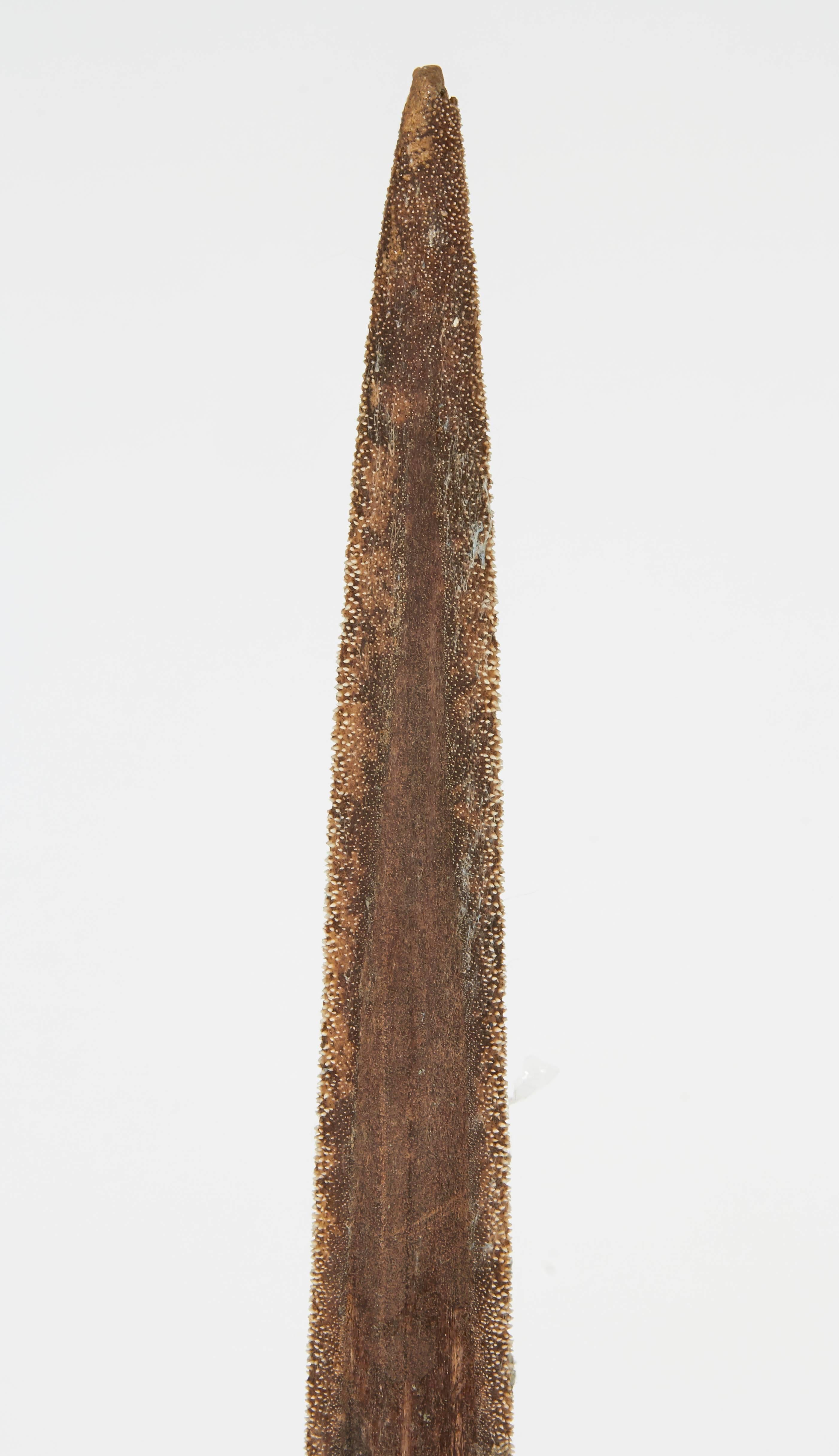 Vintage swordfish bill. Unique bill is mounted on a metal. Conversational decorative object for any room. Item is currently on display in the Bergdorf Goodman Loft for 5th Avenue Safari.