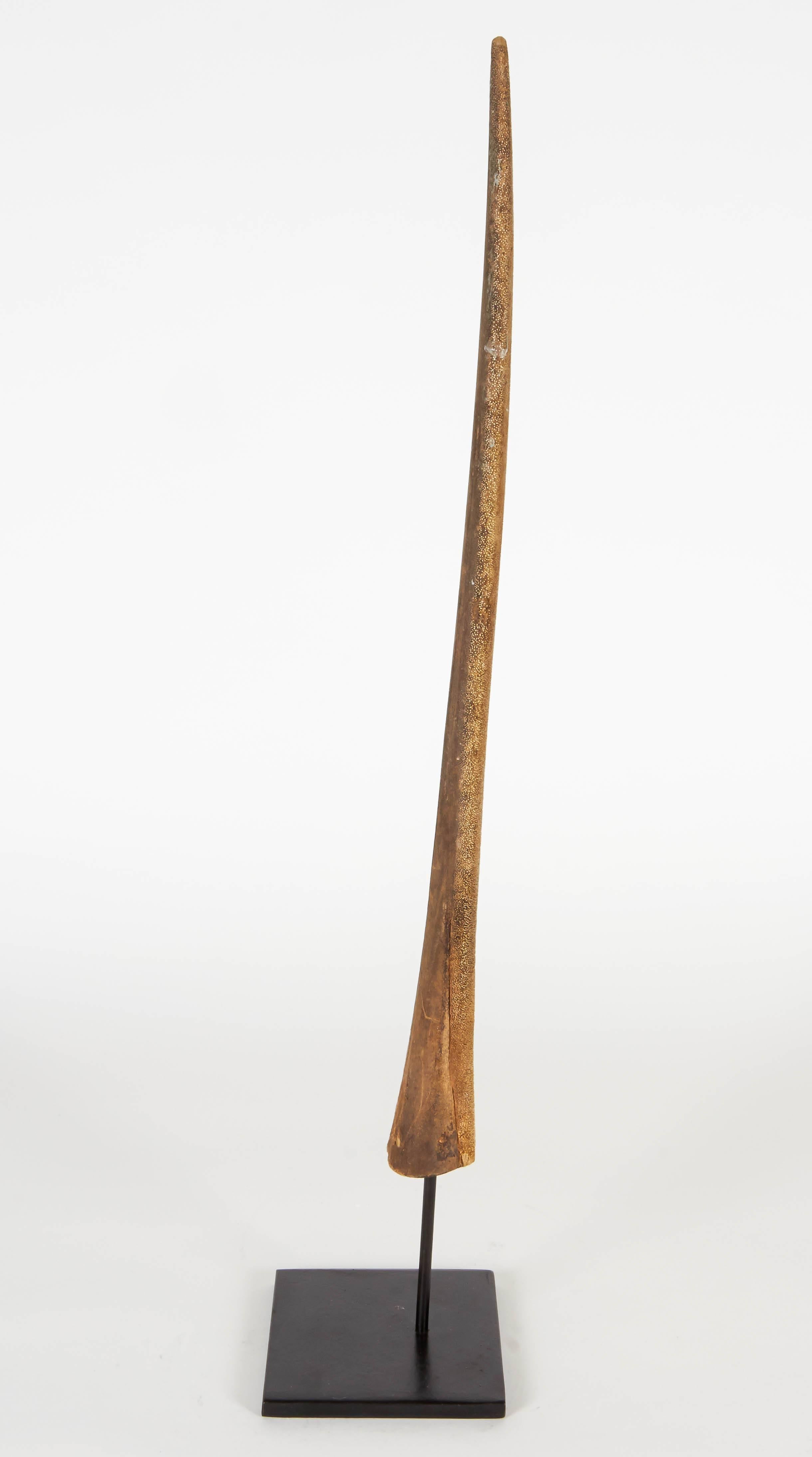 French Vintage Swordfish Bill For Sale