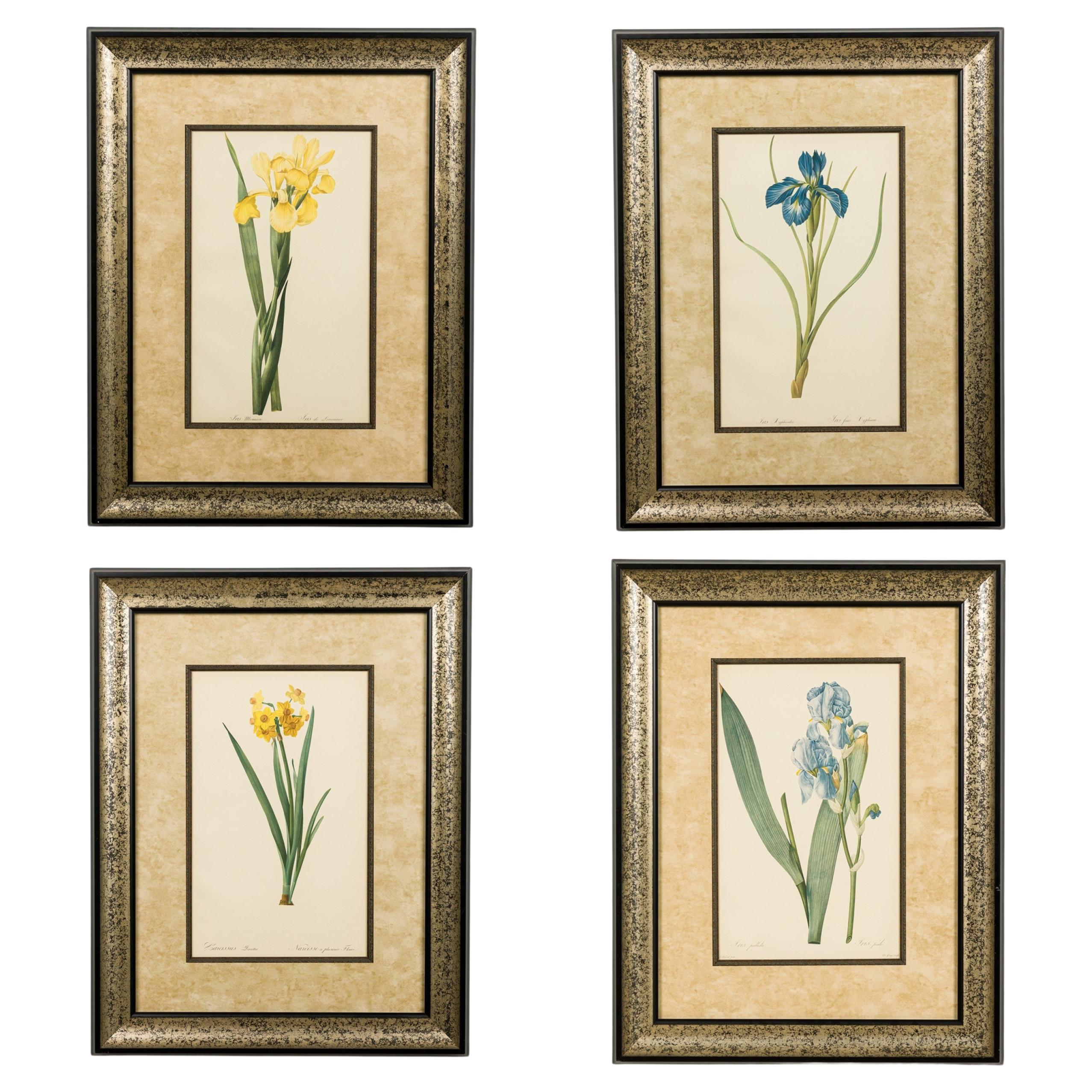 Set von 4 französischen viktorianischen farbigen Drucken mit Iris-Blumenblumendrucken