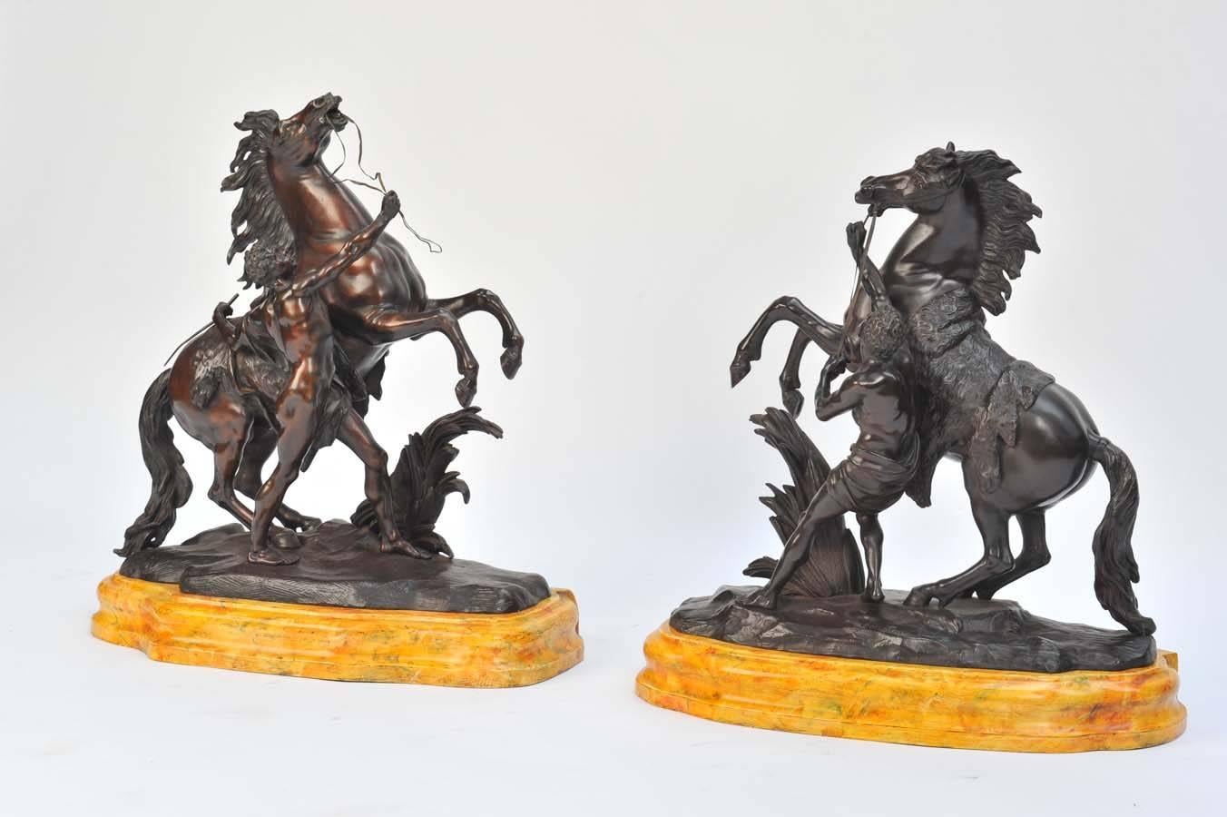 Une paire très impressionnante de chevaux marley en bronze français d'après Guillaume Coustou l'aîné 1677-1746. Montés sur des socles en faux marbre de Sienne.