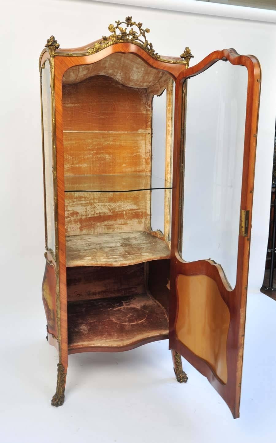 19th Century Sedan Style Vitrine For Sale 1