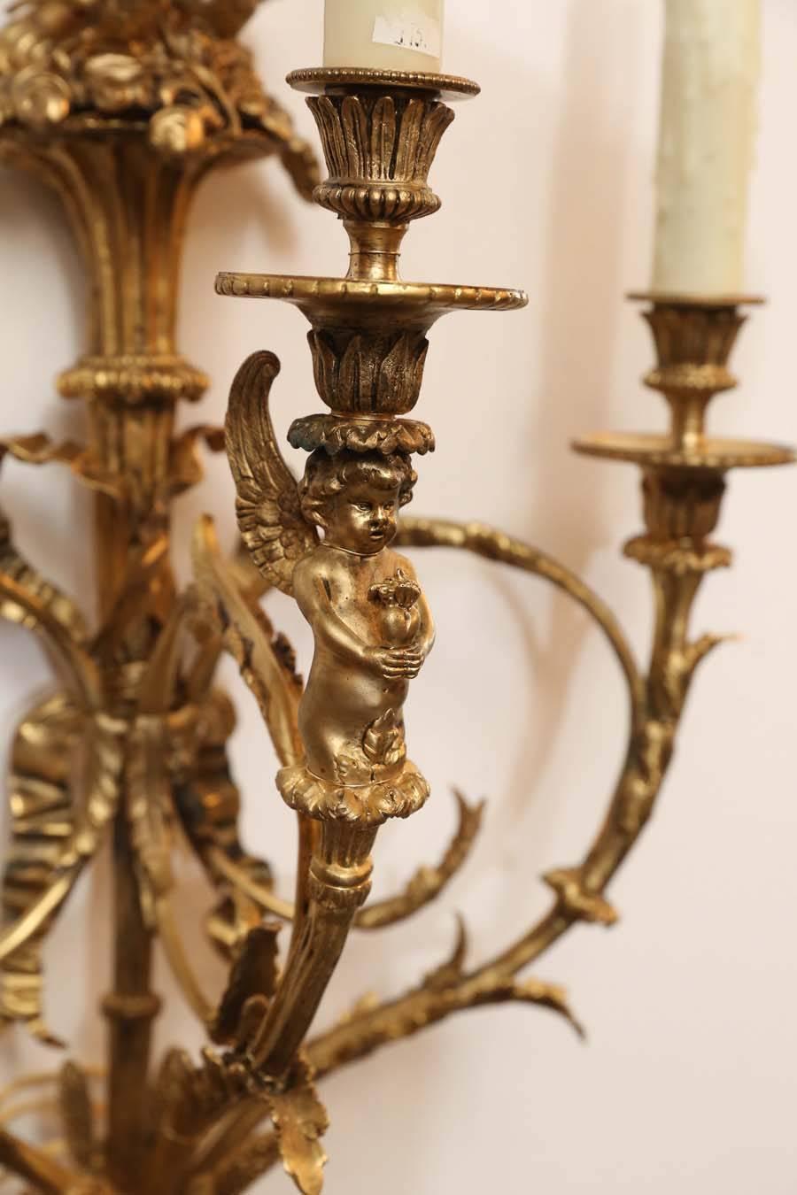 Pair of scrolled arm-three light sconces,
French, putti design in center front with foliate
and ribbon design. Wired.