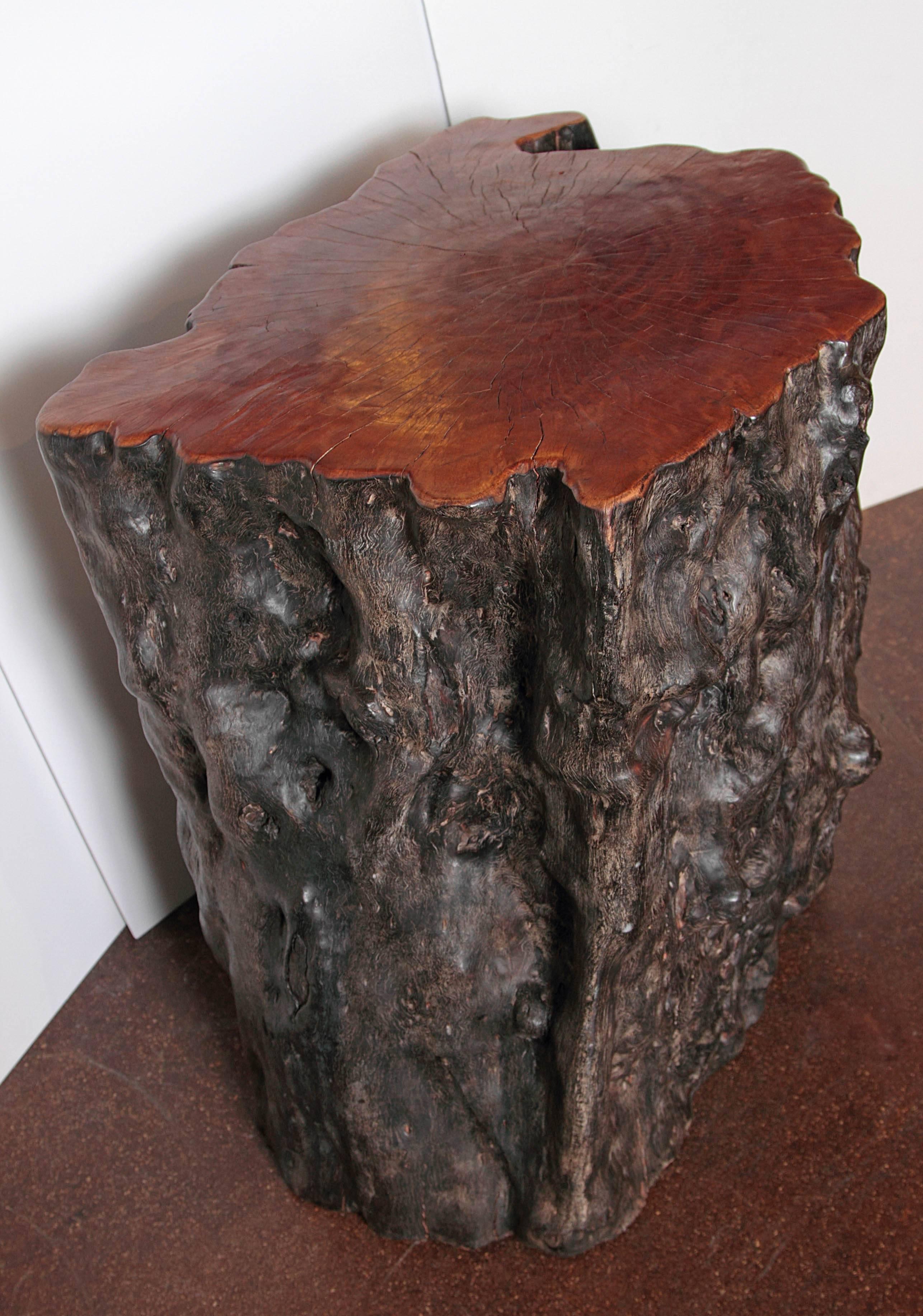 Organic Modern Organic Lychee Wood End Table or Table Base