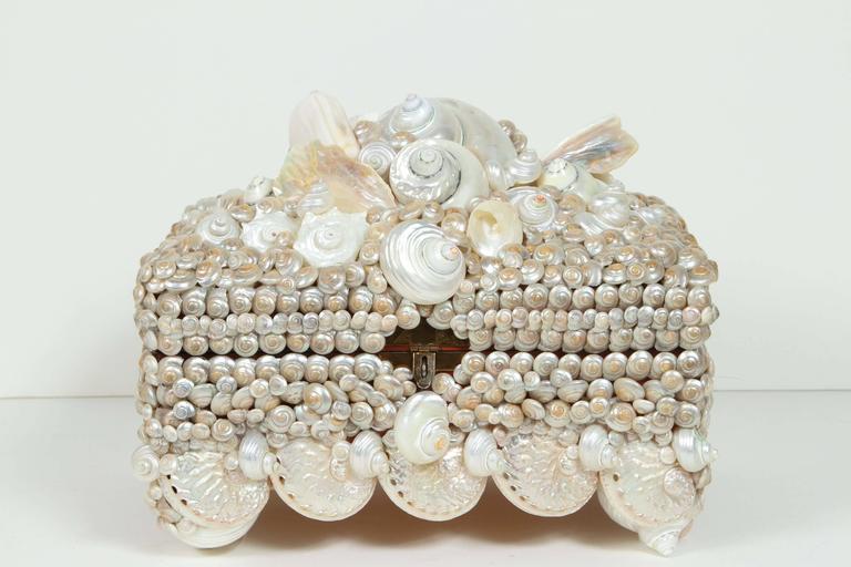 Shell covered Coquillage Box at 1stDibs