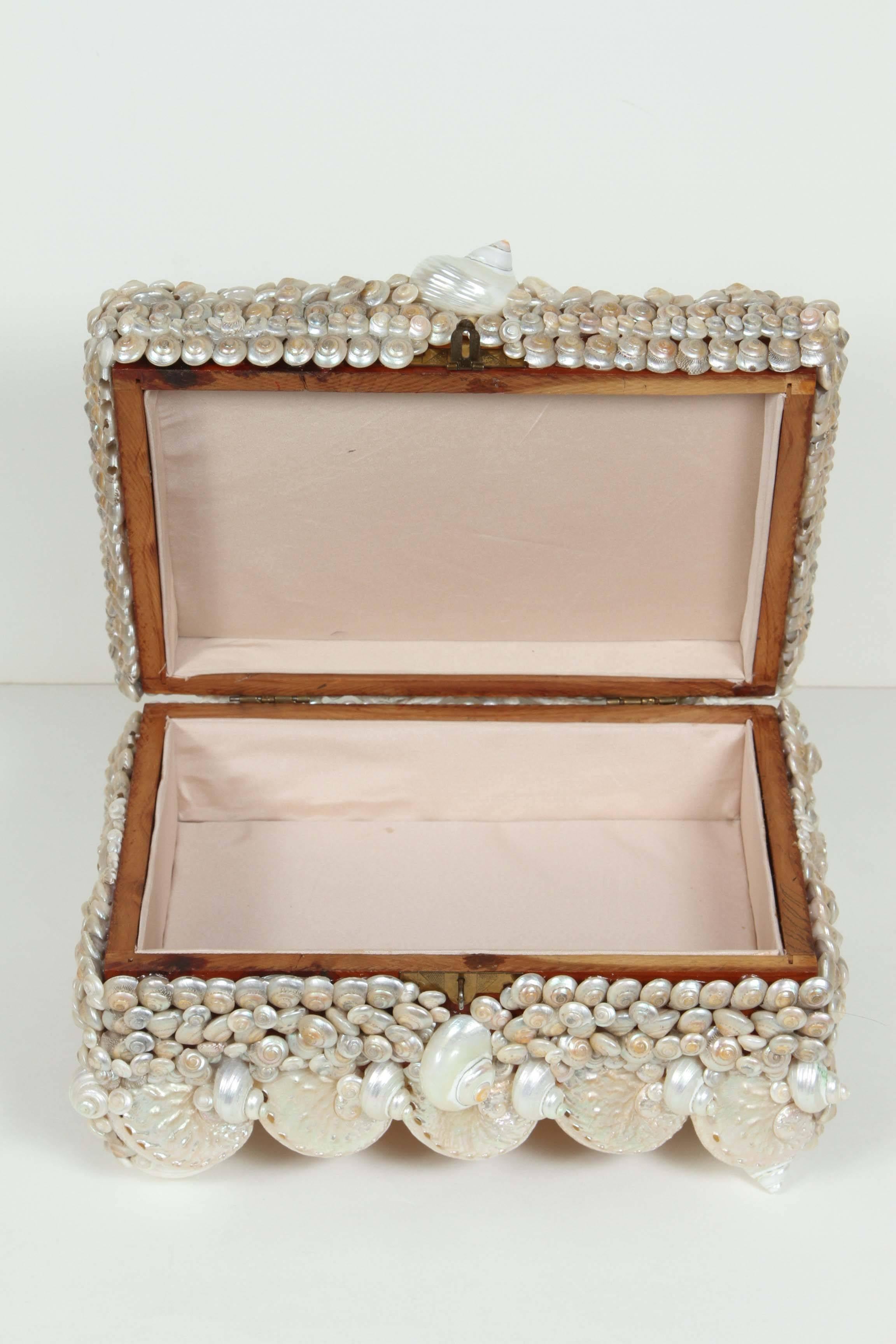 American Shell covered Coquillage Box 
